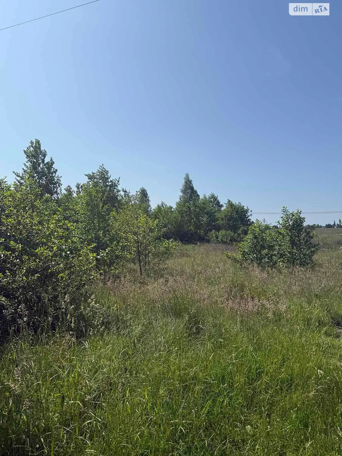 Сдается в аренду земельный участок 7.4887 соток в Ровенской области, цена: 2805 грн - фото 1