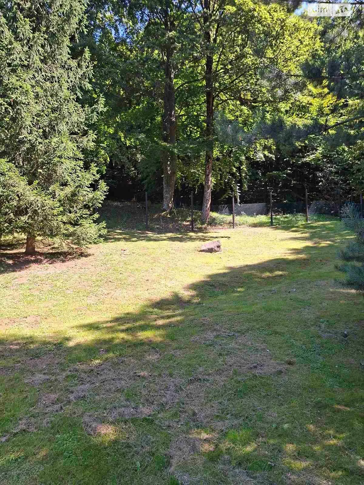 Синяк, цена: 43937 грн - фото 1