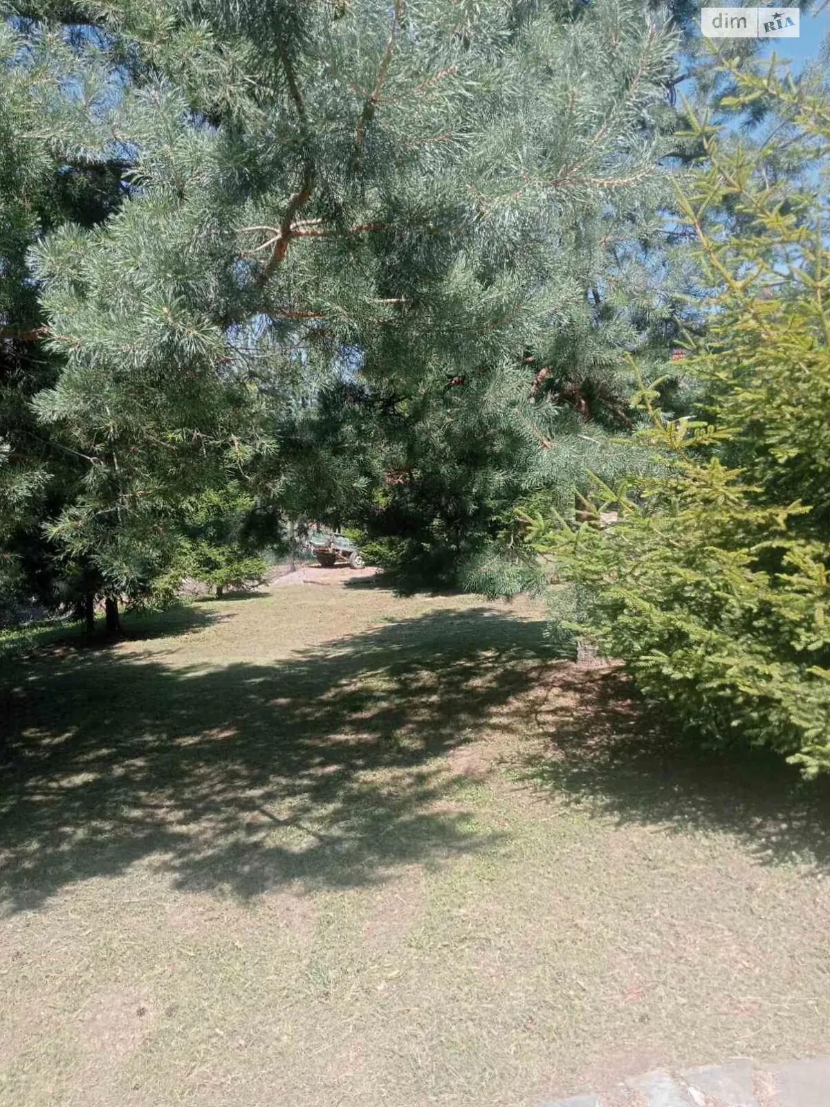 Синяк, цена: 139536 грн - фото 1