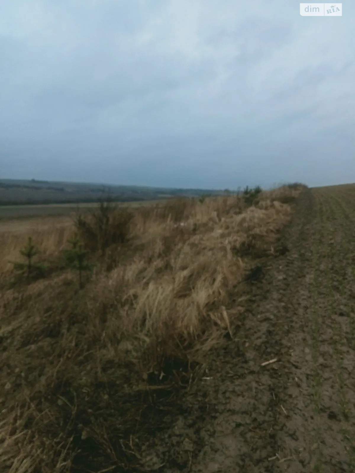 Сдается в аренду земельный участок 10.6937 соток в Ровенской области, цена: 30116 грн - фото 1