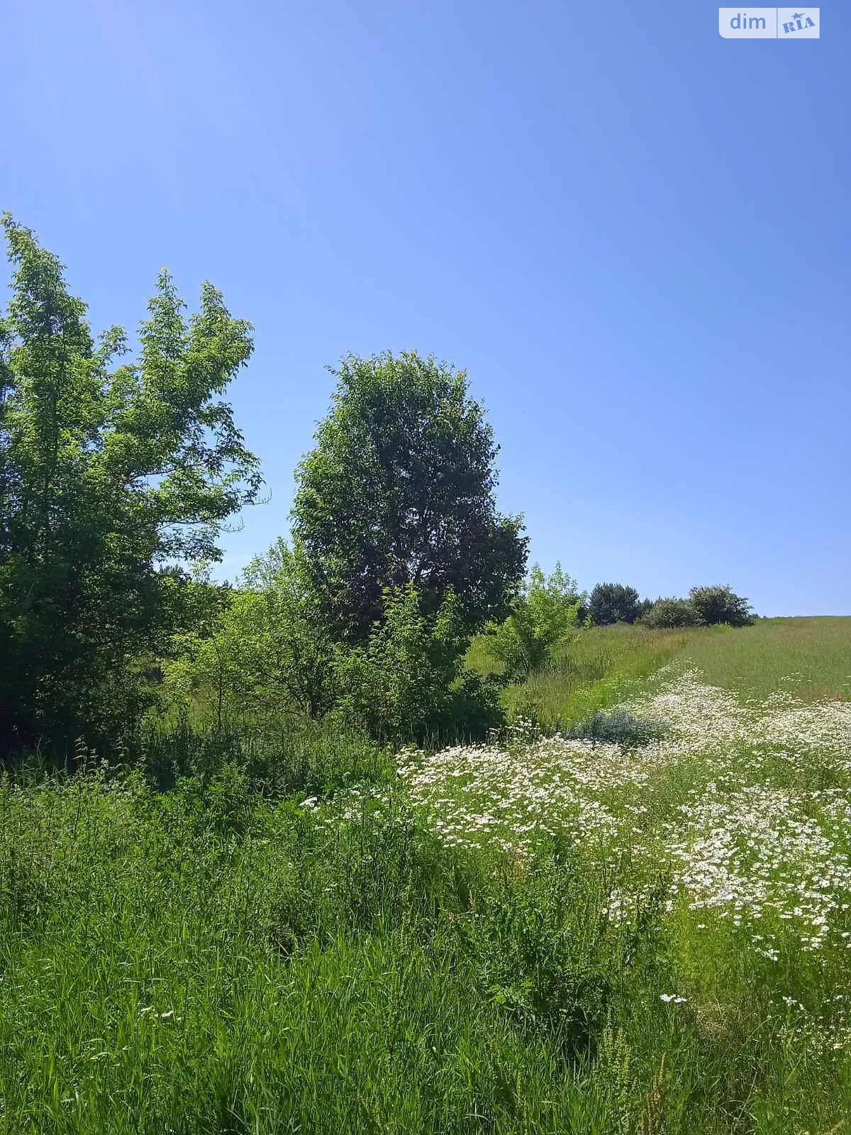 Здається в оренду земельна ділянка 13.9767 соток у Волинській області, цена: 43058 грн - фото 1