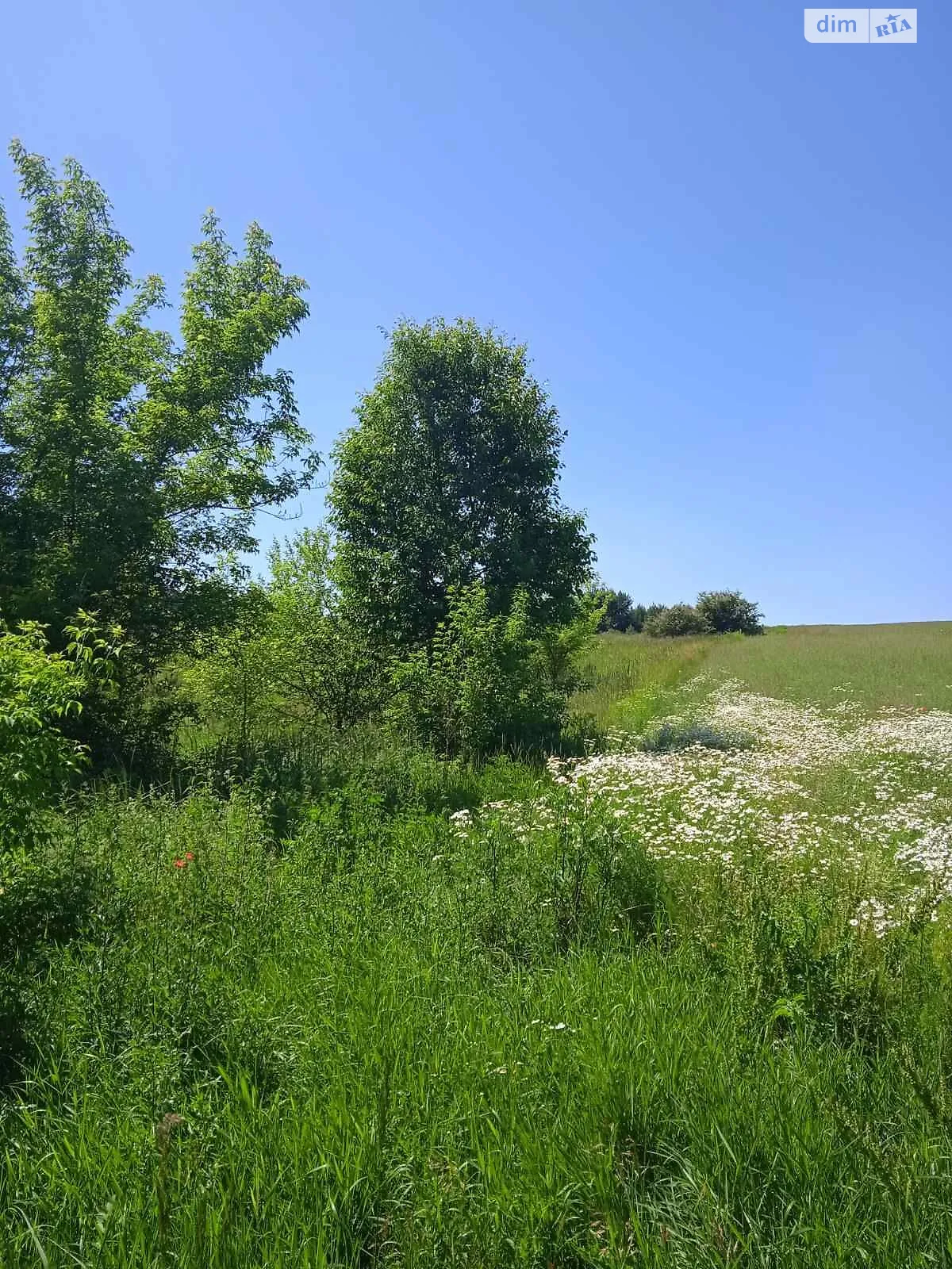Здається в оренду земельна ділянка 13.9767 соток у Волинській області, цена: 42957 грн - фото 1