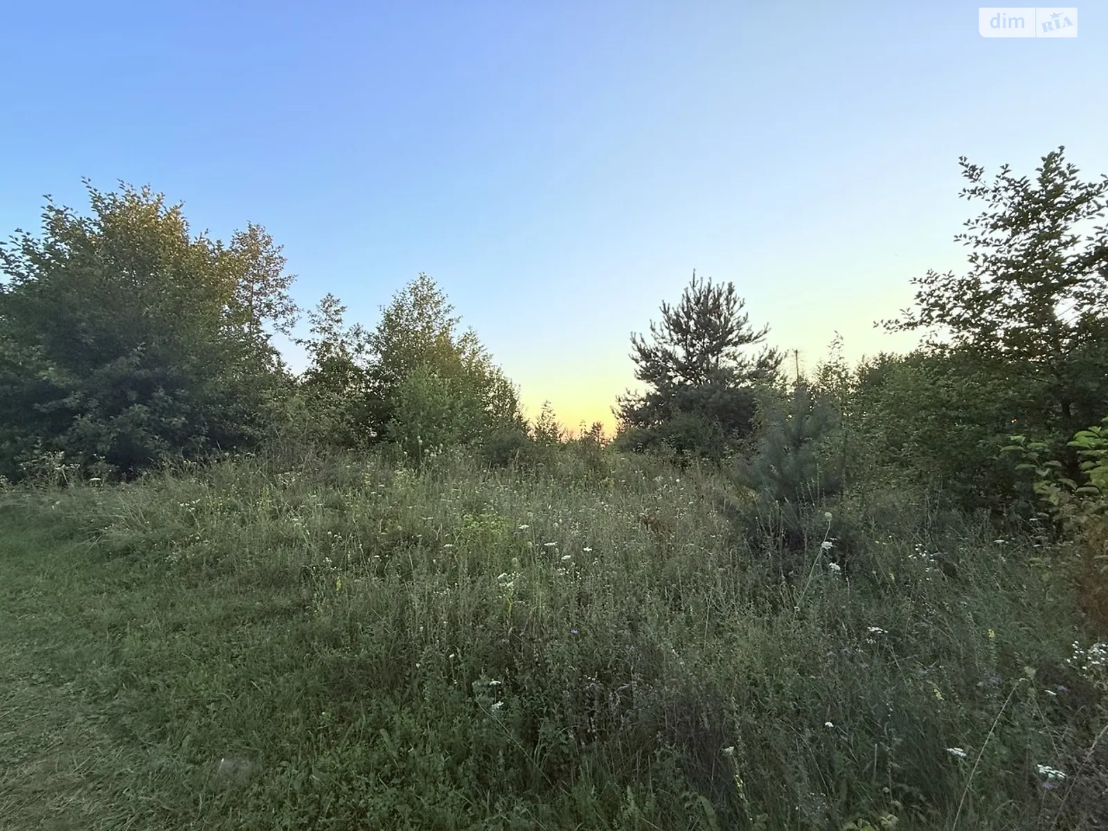 Деревач, цена: 16500 $ - фото 1