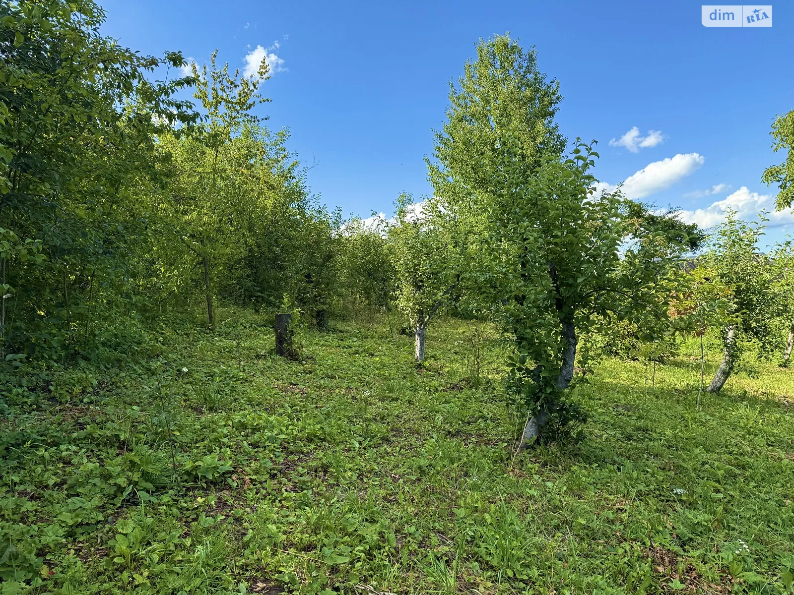 Выдровые Долы, цена: 5800 $ - фото 1