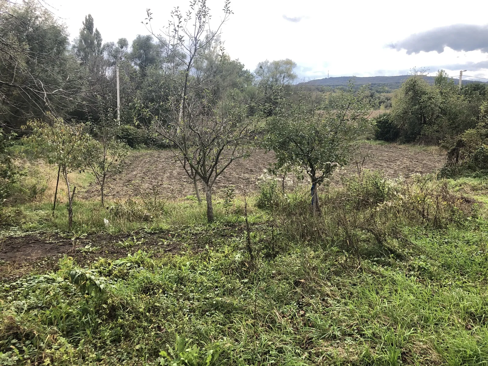 Продается земельный участок 10 соток в Черновицкой области, цена: 38000 $ - фото 1