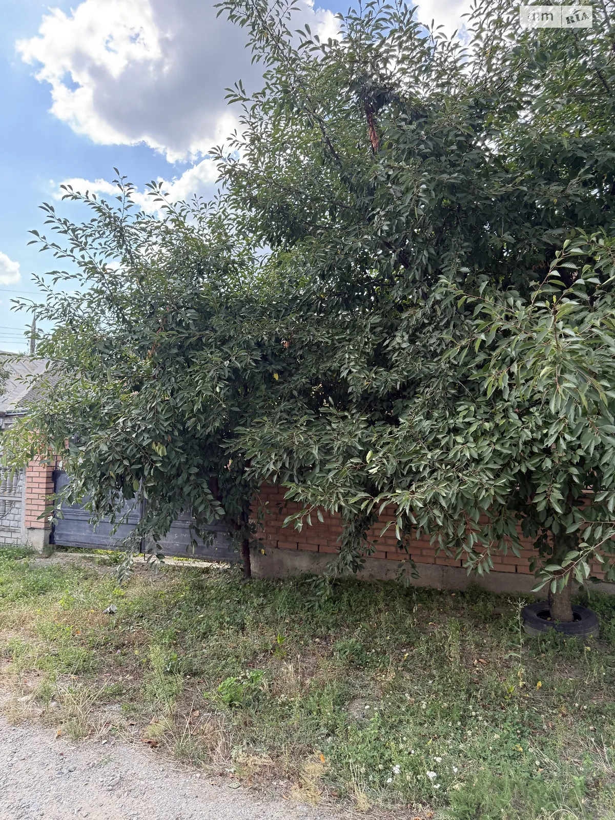 ул. Василия Кричевского(Ушакова) Старый город Винница - фото 2