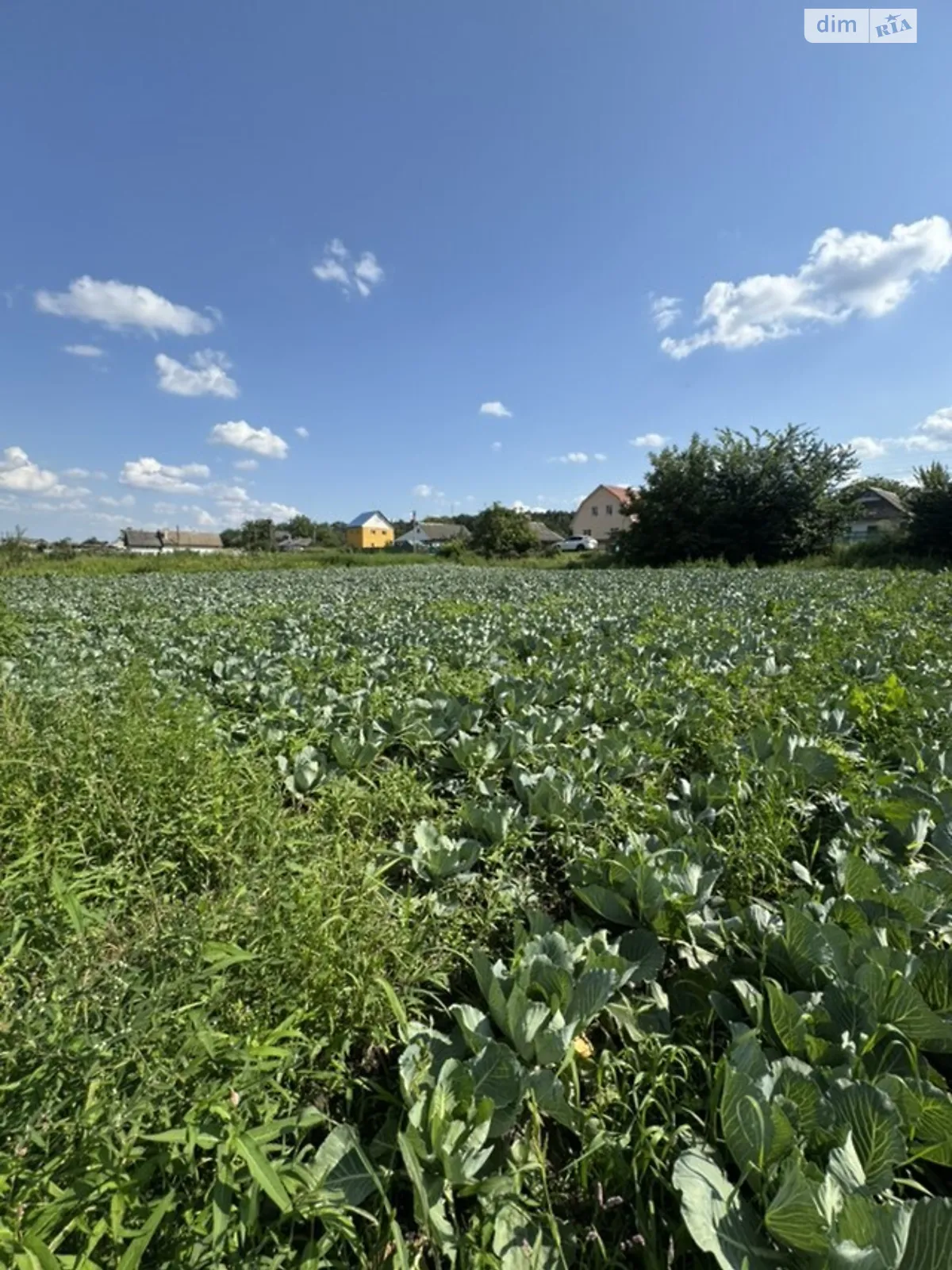 Вороновица, цена: 12000 $ - фото 1