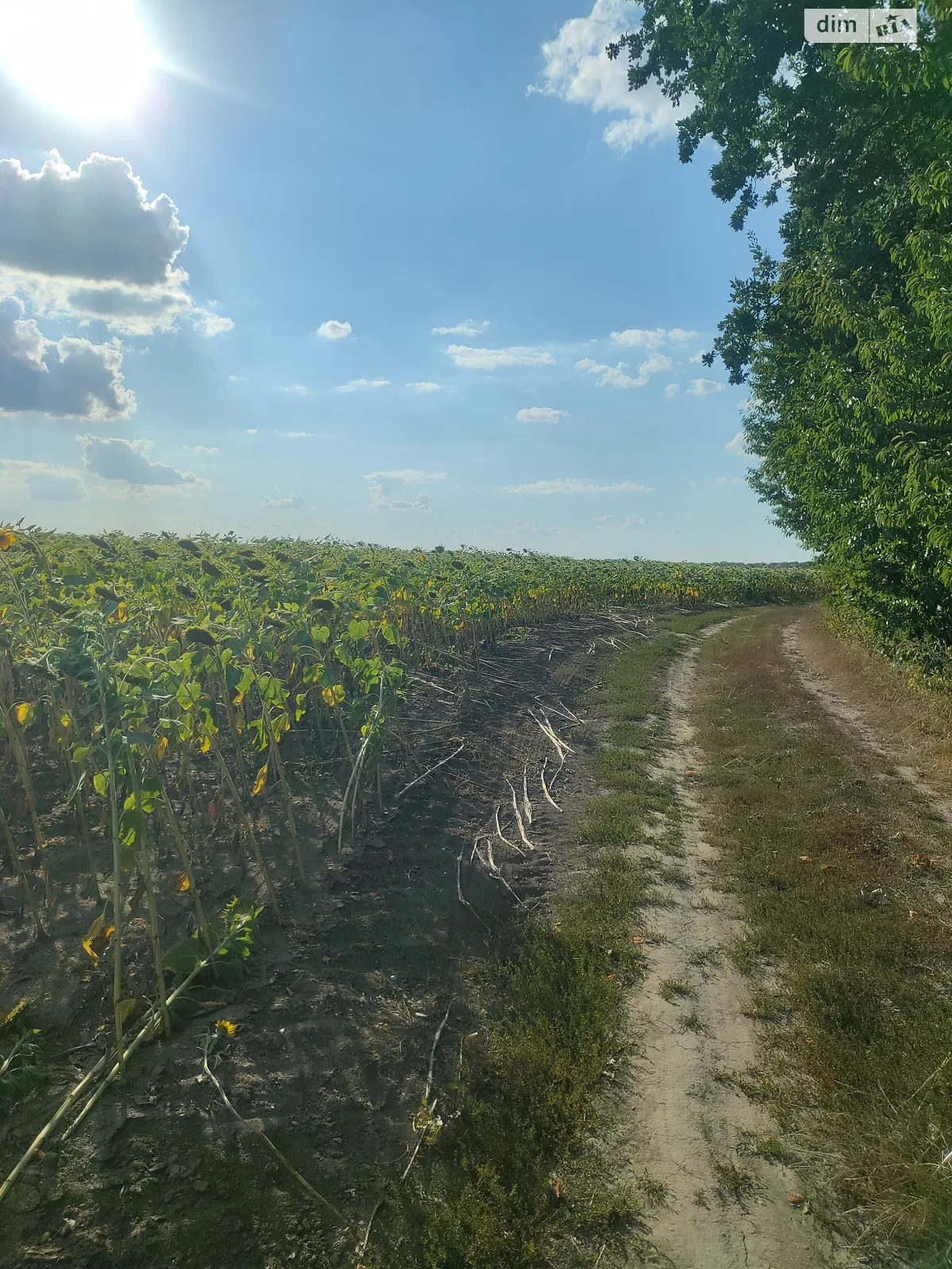 Вороновица, цена: 12000 $ - фото 1