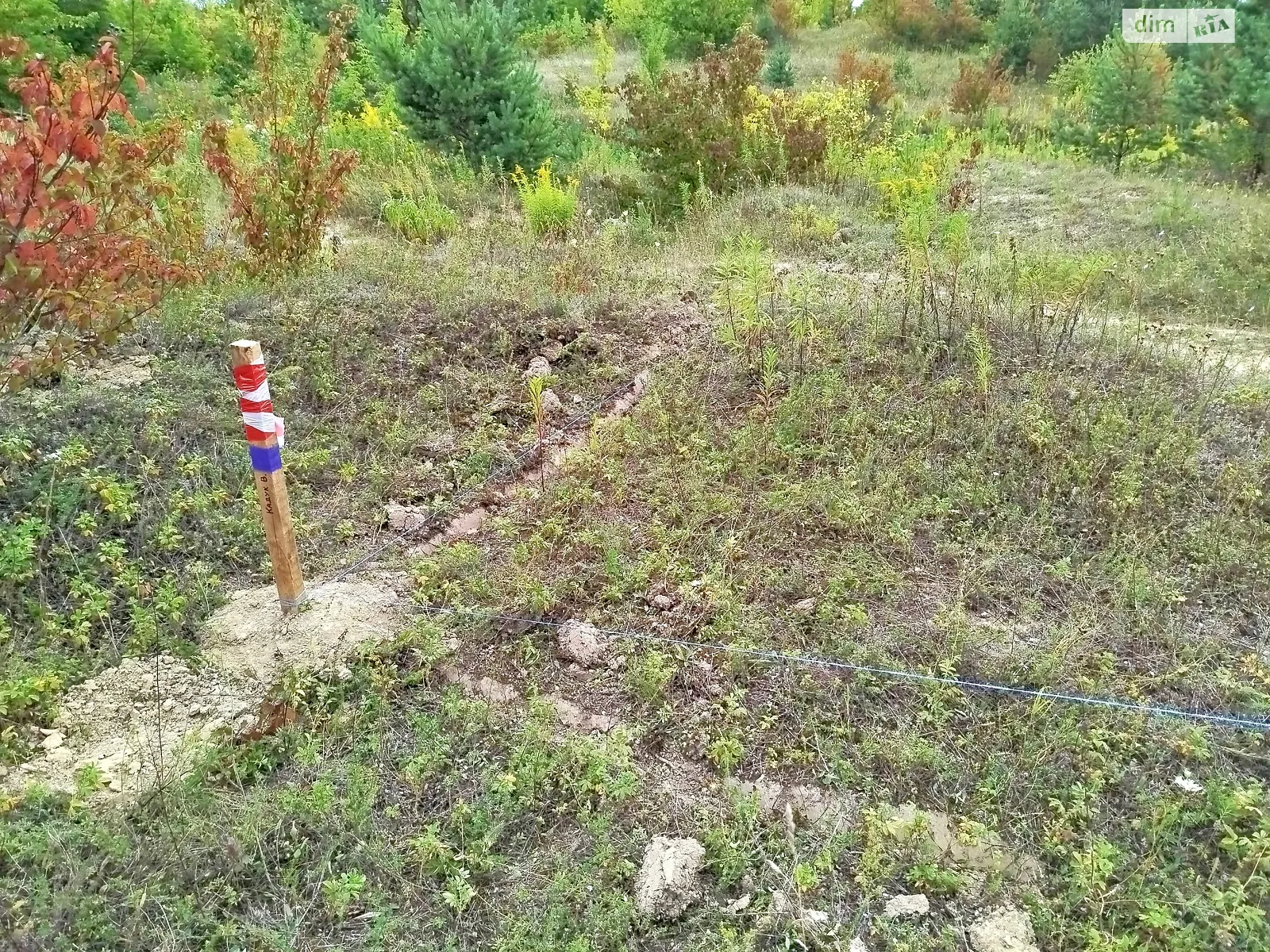 Шумск, цена: 3500 $ - фото 1