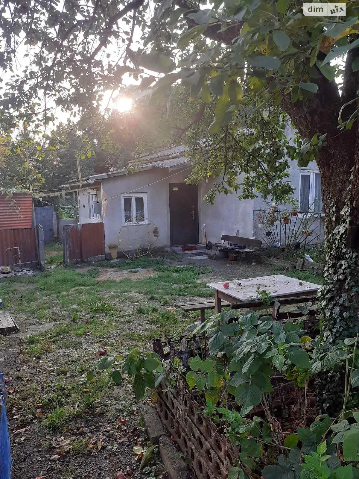 Продается земельный участок 8 соток в Закарпатской области, цена: 63000 $ - фото 1