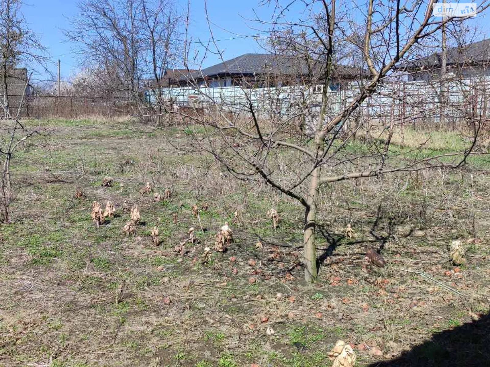 ул. Южная Ходосовка (Обухов), цена: 100000 $ - фото 1