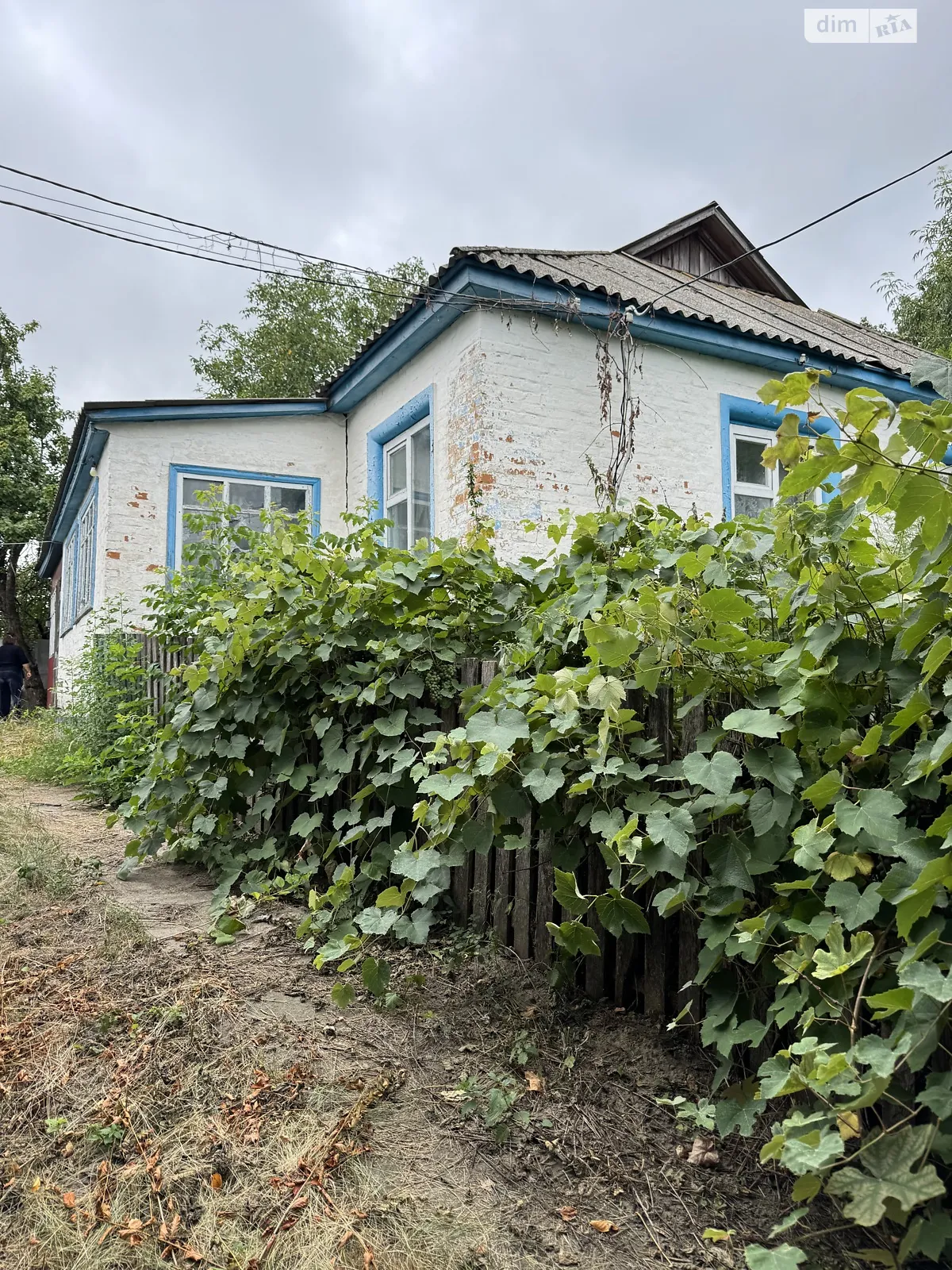 Продается одноэтажный дом 87.6 кв. м с садом, цена: 12000 $ - фото 1