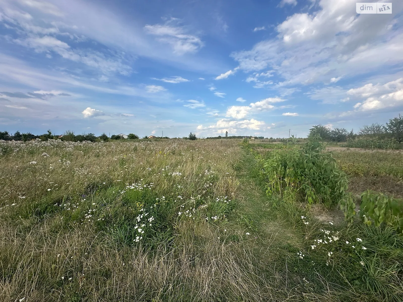 СДТ Писарівський Щитки, цена: 12500 $ - фото 1