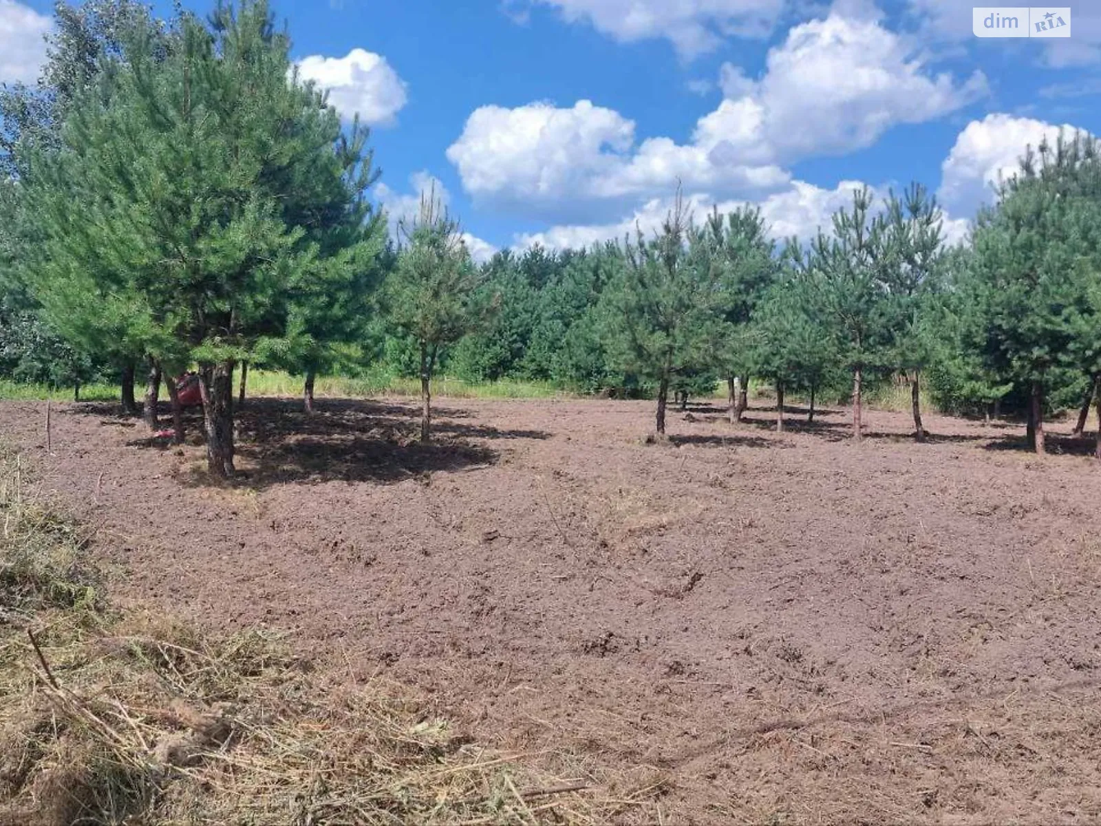 Ясногородка (Макаров), цена: 16500 $ - фото 1