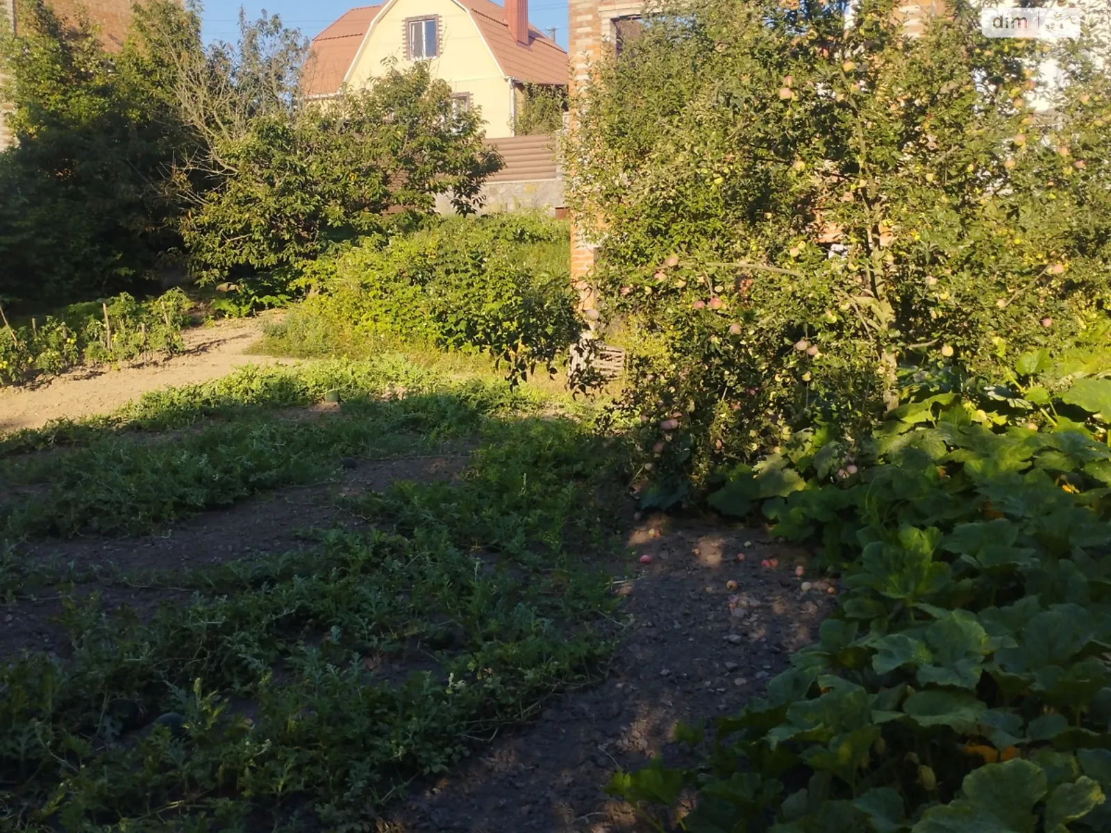 Продается земельный участок 6 соток в Винницкой области, цена: 18000 $ - фото 1