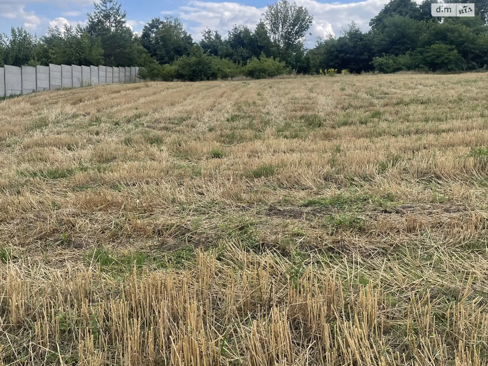 Барахти, цена: 13000 $ - фото 1