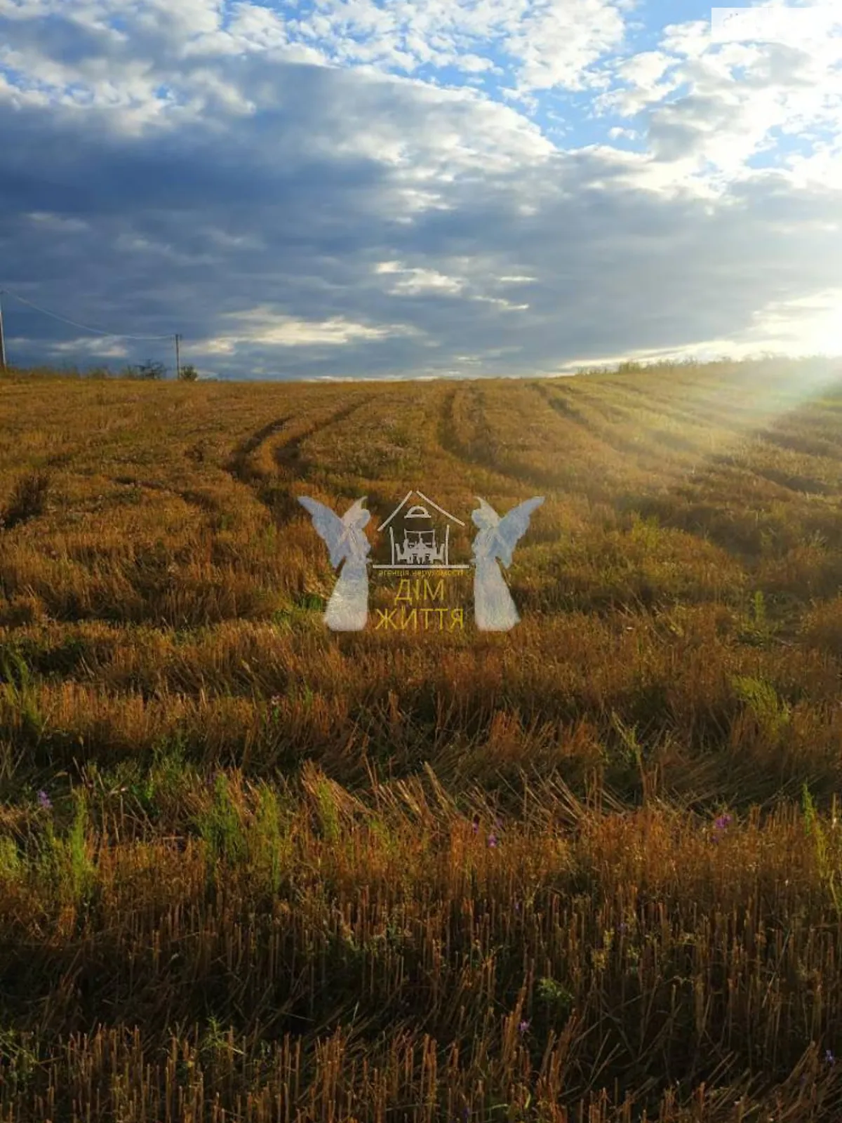 Продається земельна ділянка 24 соток у Тернопільській області, цена: 30000 $ - фото 1