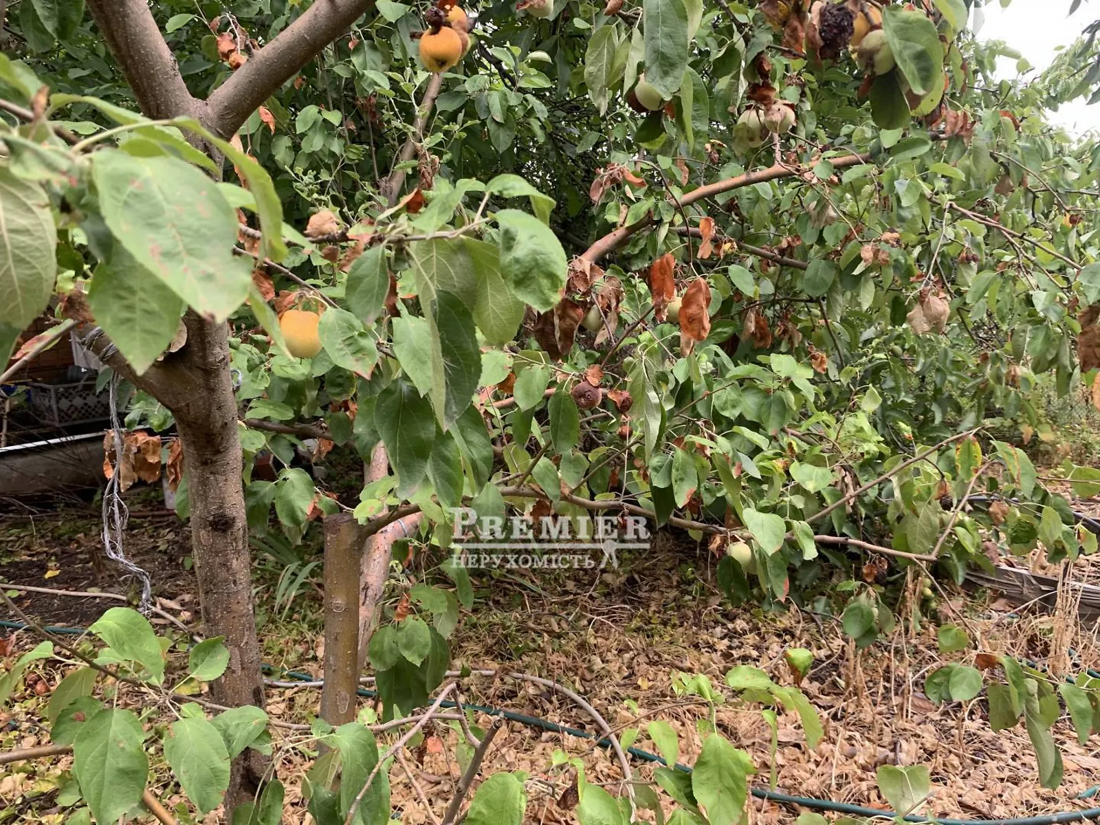 Продается земельный участок 6.05 соток в Одесской области, цена: 7000 $ - фото 1