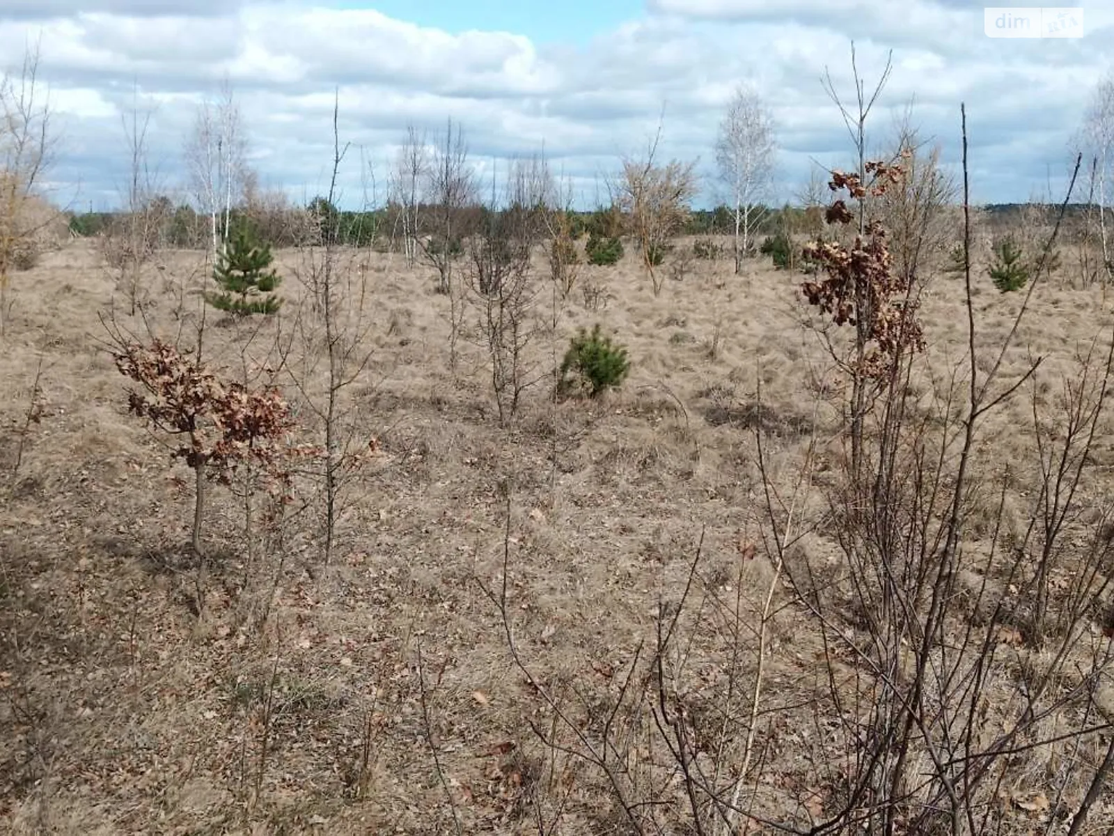 Продается земельный участок 0.3 соток в Львовской области, цена: 726000 грн - фото 1