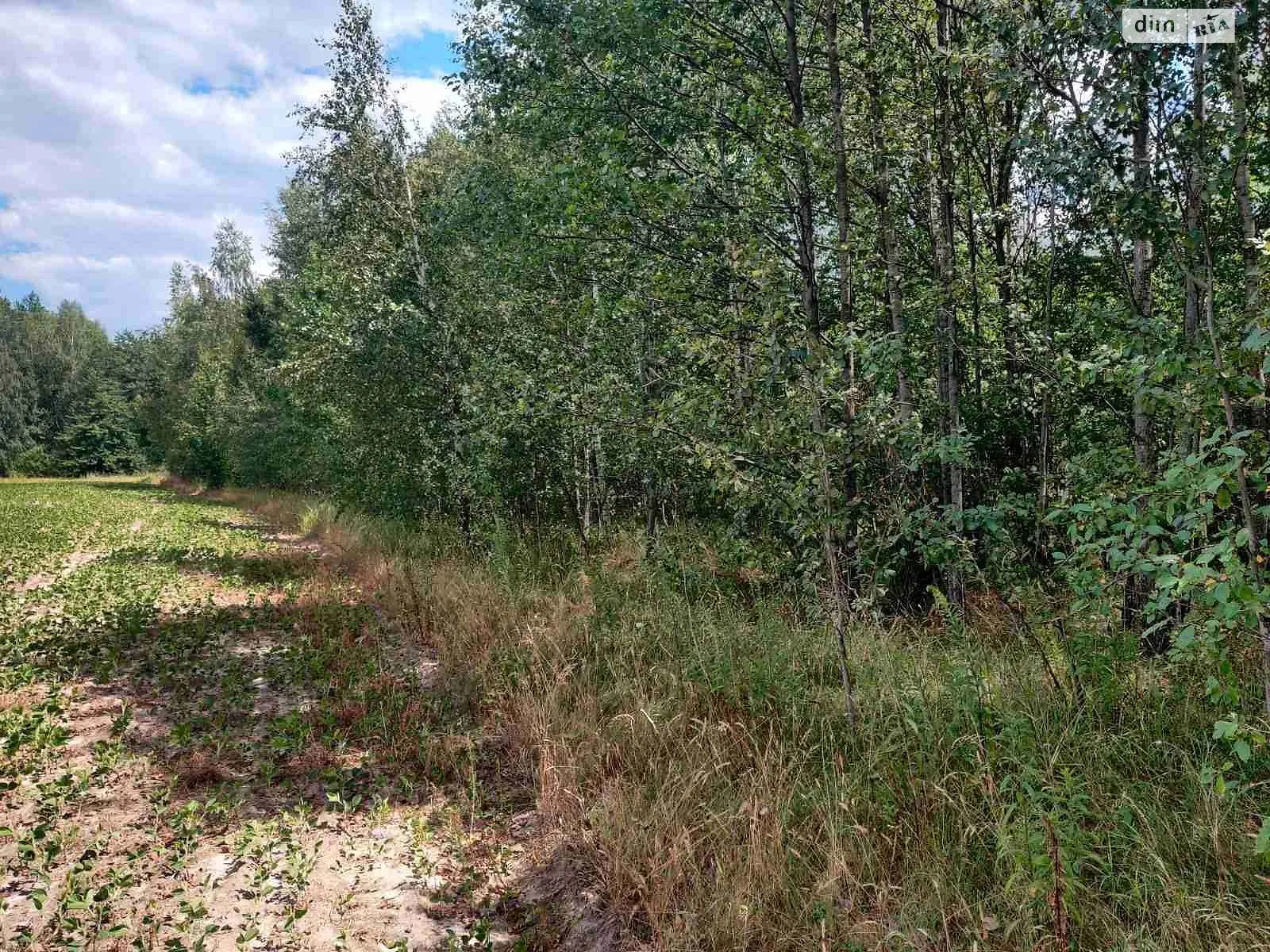 Продается земельный участок 24.9977 соток в Житомирской области, цена: 28300172 грн - фото 1