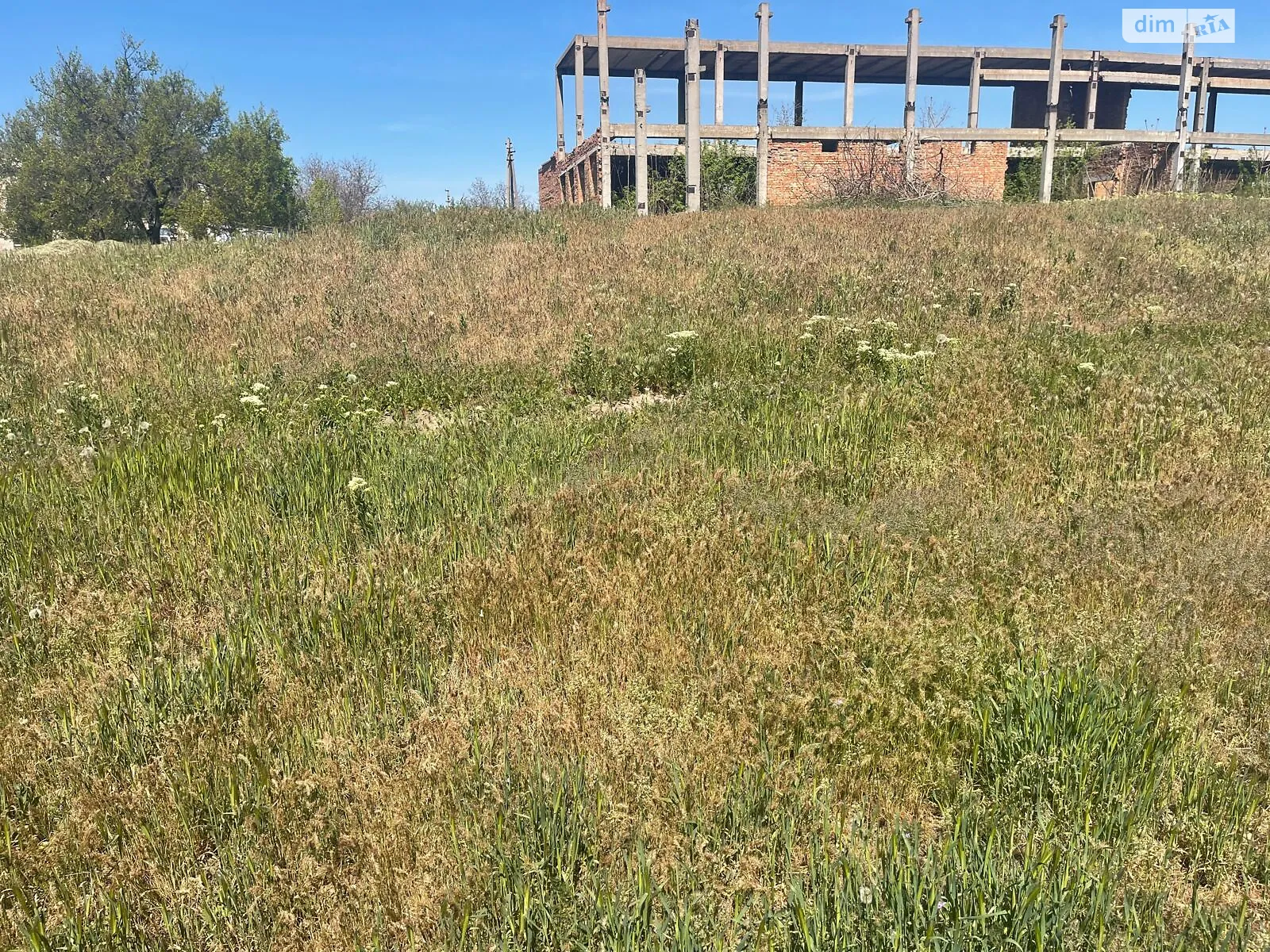 Здається в оренду земельна ділянка 0.4151 соток у Миколаївській області, цена: 41470 грн - фото 1