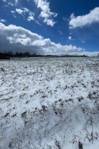 Купить землю под застройку в Черновицкой области