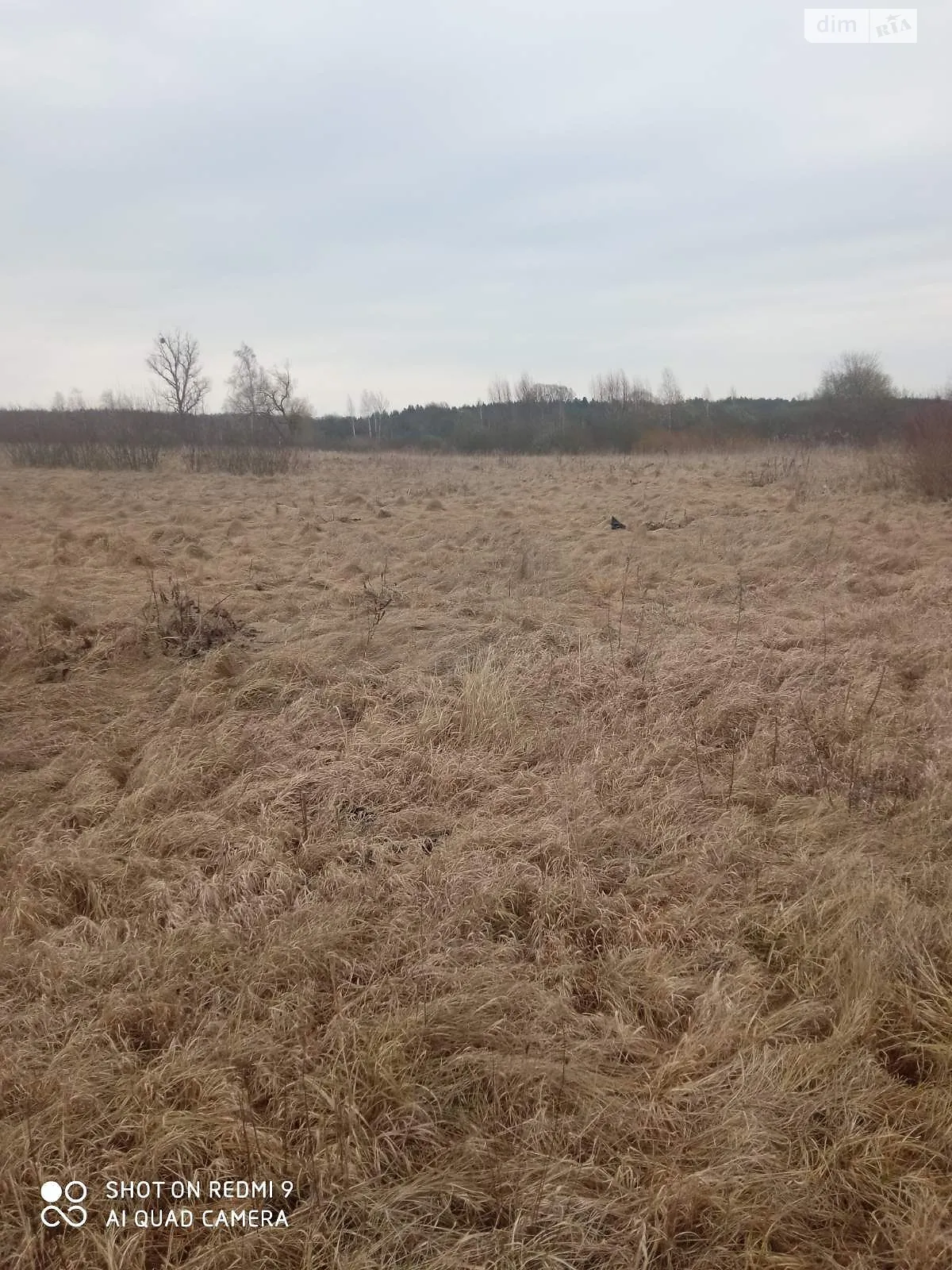 Бондари, цена: 123 грн - фото 1