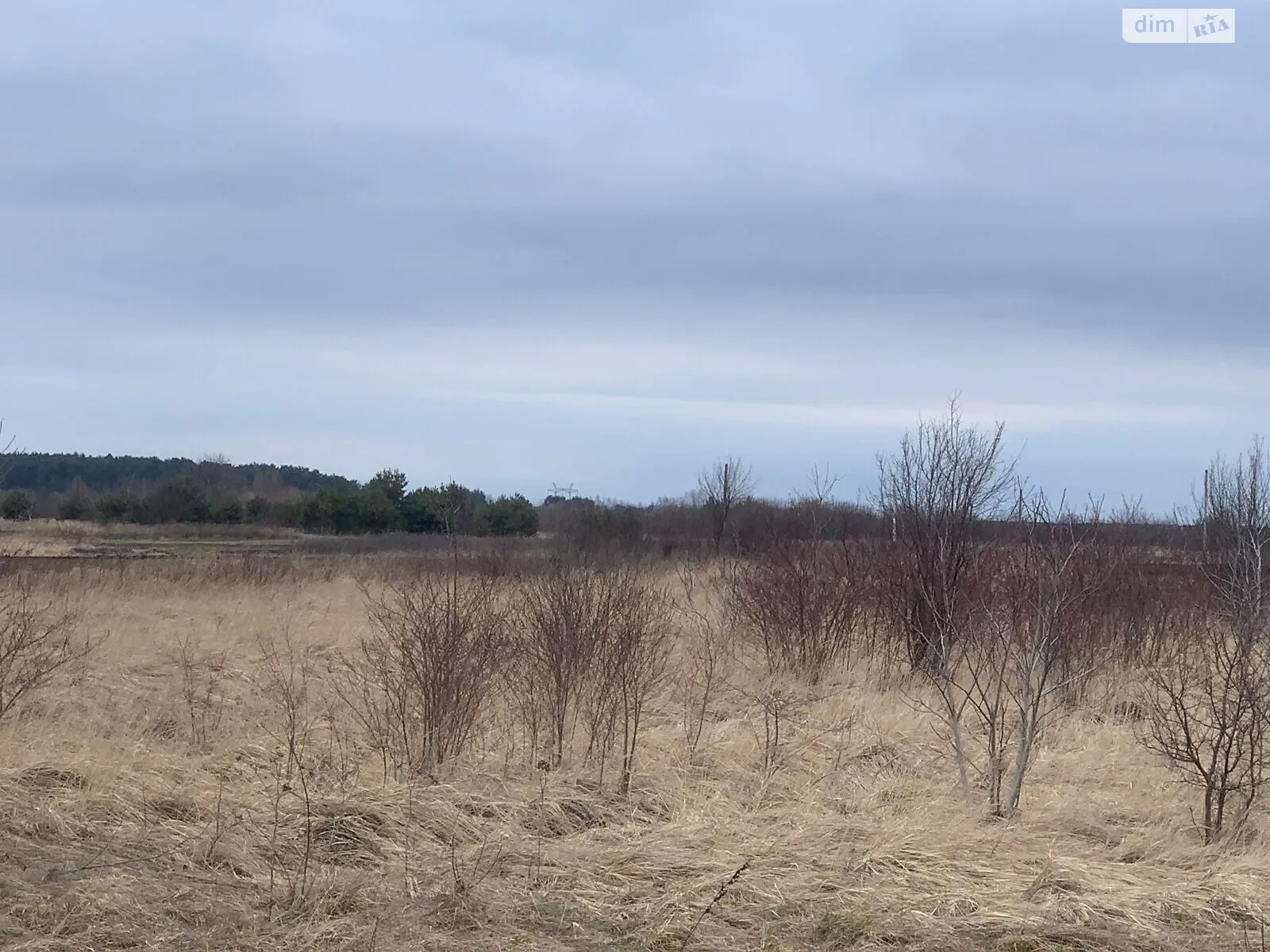 Сопошин, цена: 89278 грн - фото 1