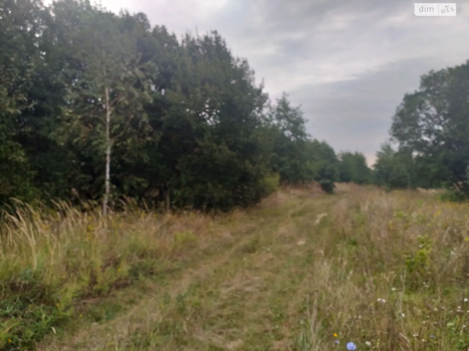 Сдается в аренду земельный участок 2.0205 соток в Львовской области, цена: 7070 грн - фото 1