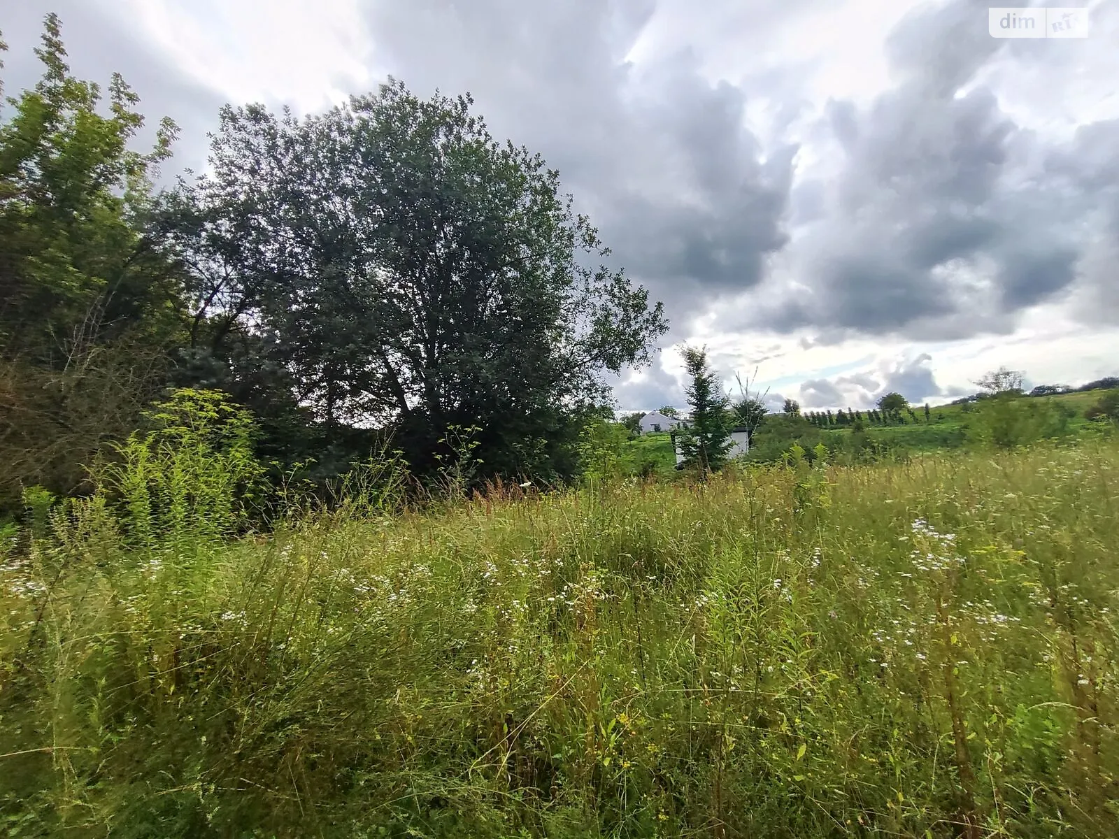 Сдается в аренду земельный участок 0.1715 соток в Львовской области, цена: 62882 грн - фото 1