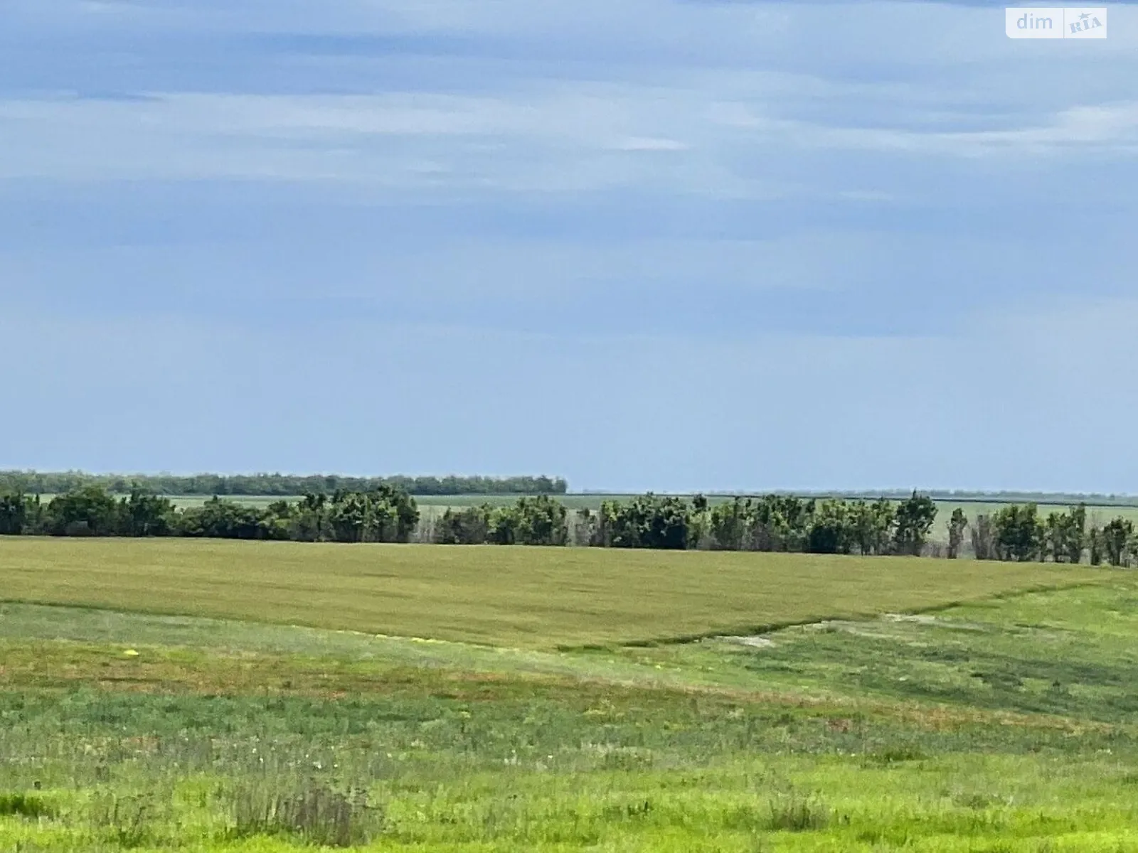 Сдается в аренду земельный участок 2.6445 соток в Одесской области, цена: 9520 грн - фото 1