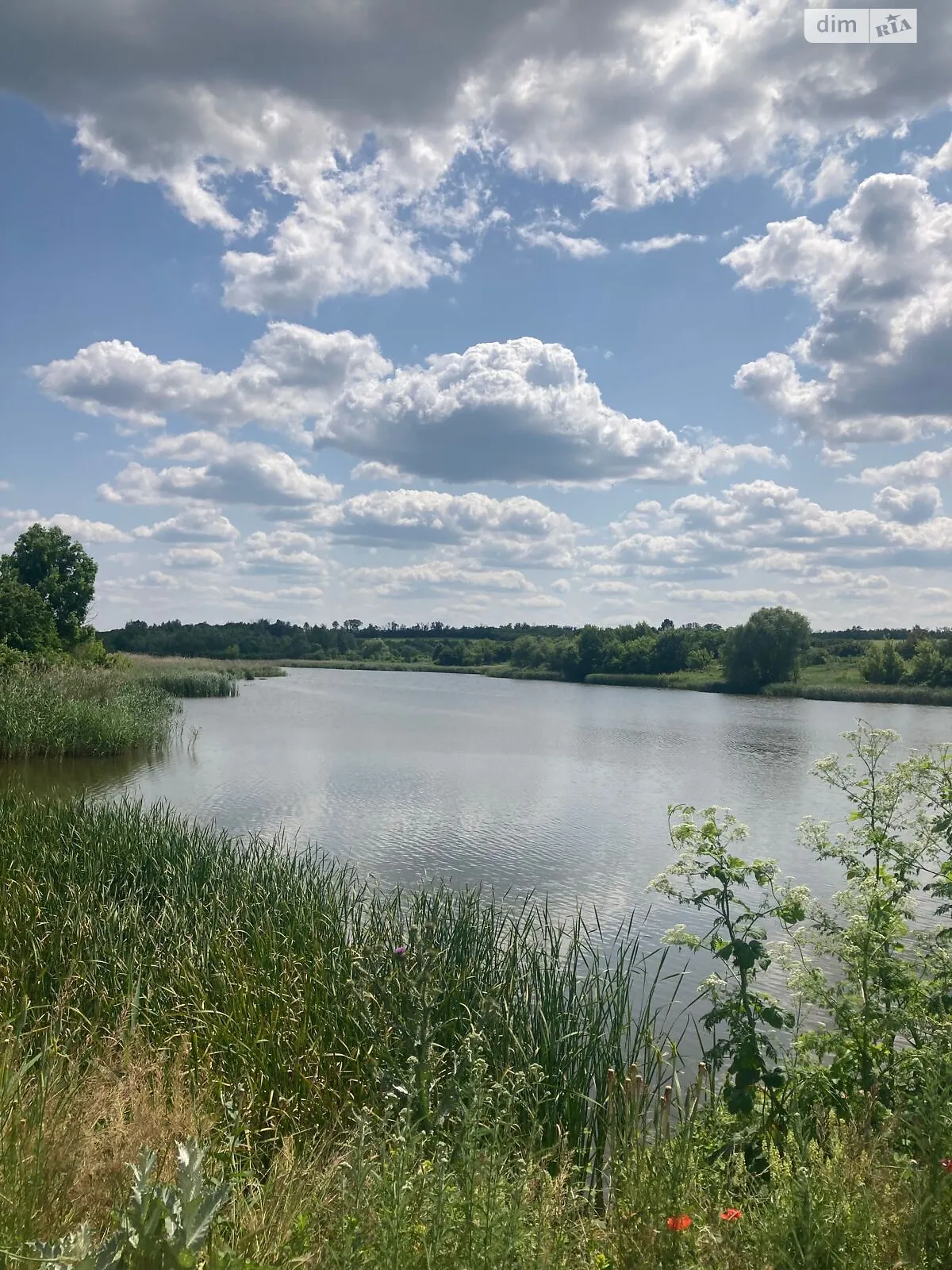 Сдается в аренду земельный участок 8.8888 соток в области, - фото 1