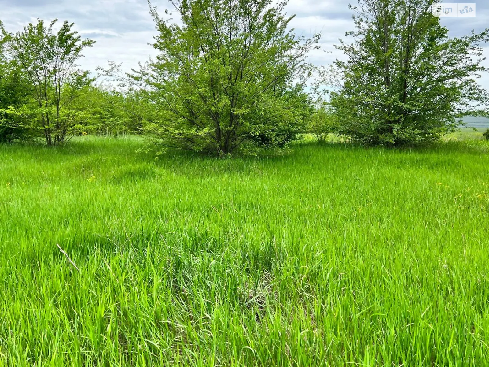 Сдается в аренду земельный участок 2.7082 соток в Одесской области, цена: 10466 грн - фото 1