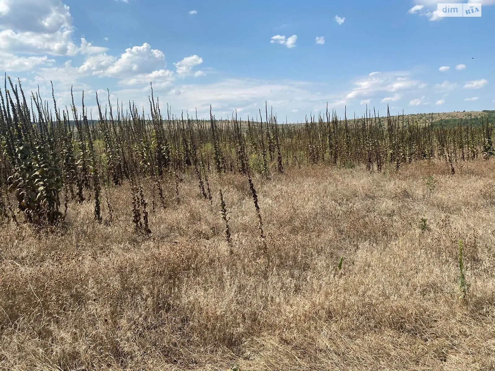 Ширяево, цена: 8446 грн - фото 1