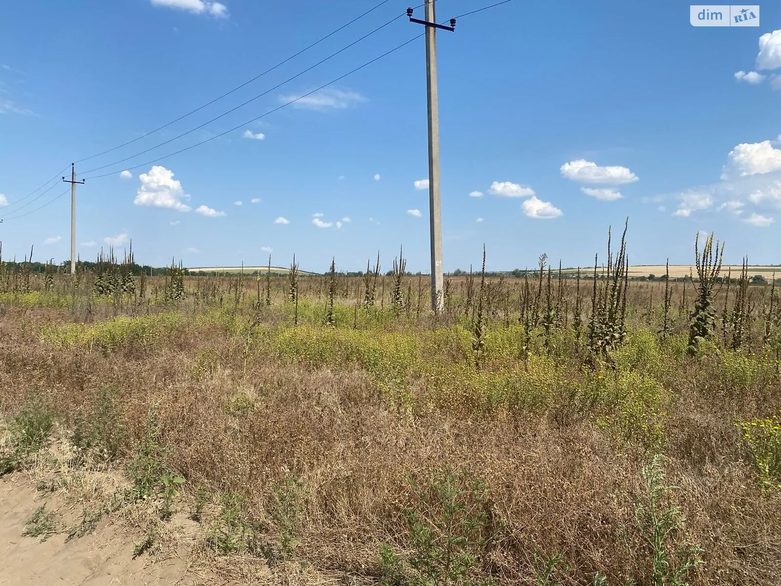 Сдается в аренду земельный участок 12.2703 соток в Одесской области, цена: 48523 грн - фото 1