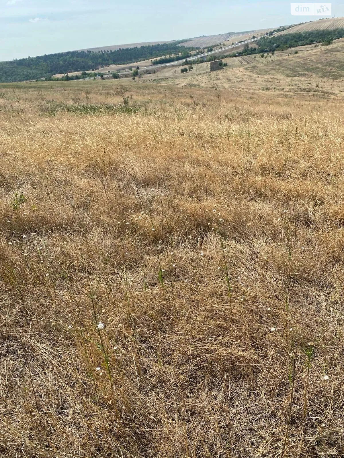 Сдается в аренду земельный участок 1.1805 соток в Одесской области, цена: 5286 грн - фото 1