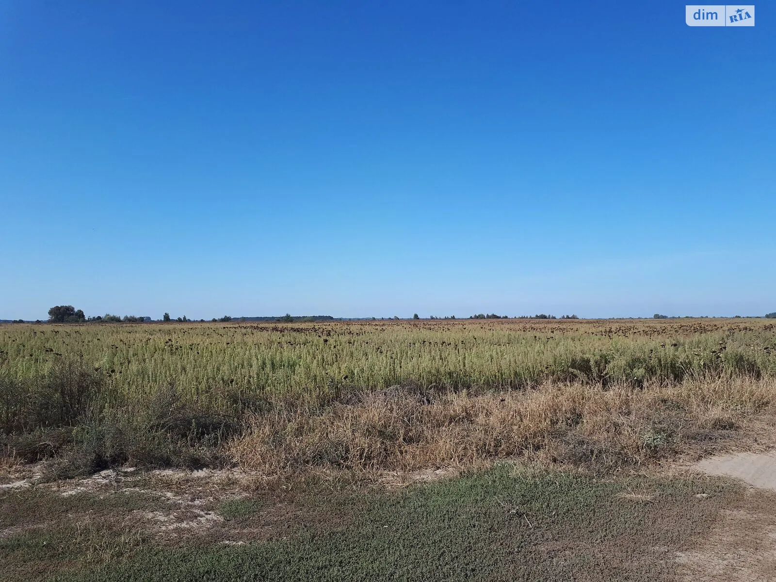 Мотижин, цена: 2018900 грн - фото 1