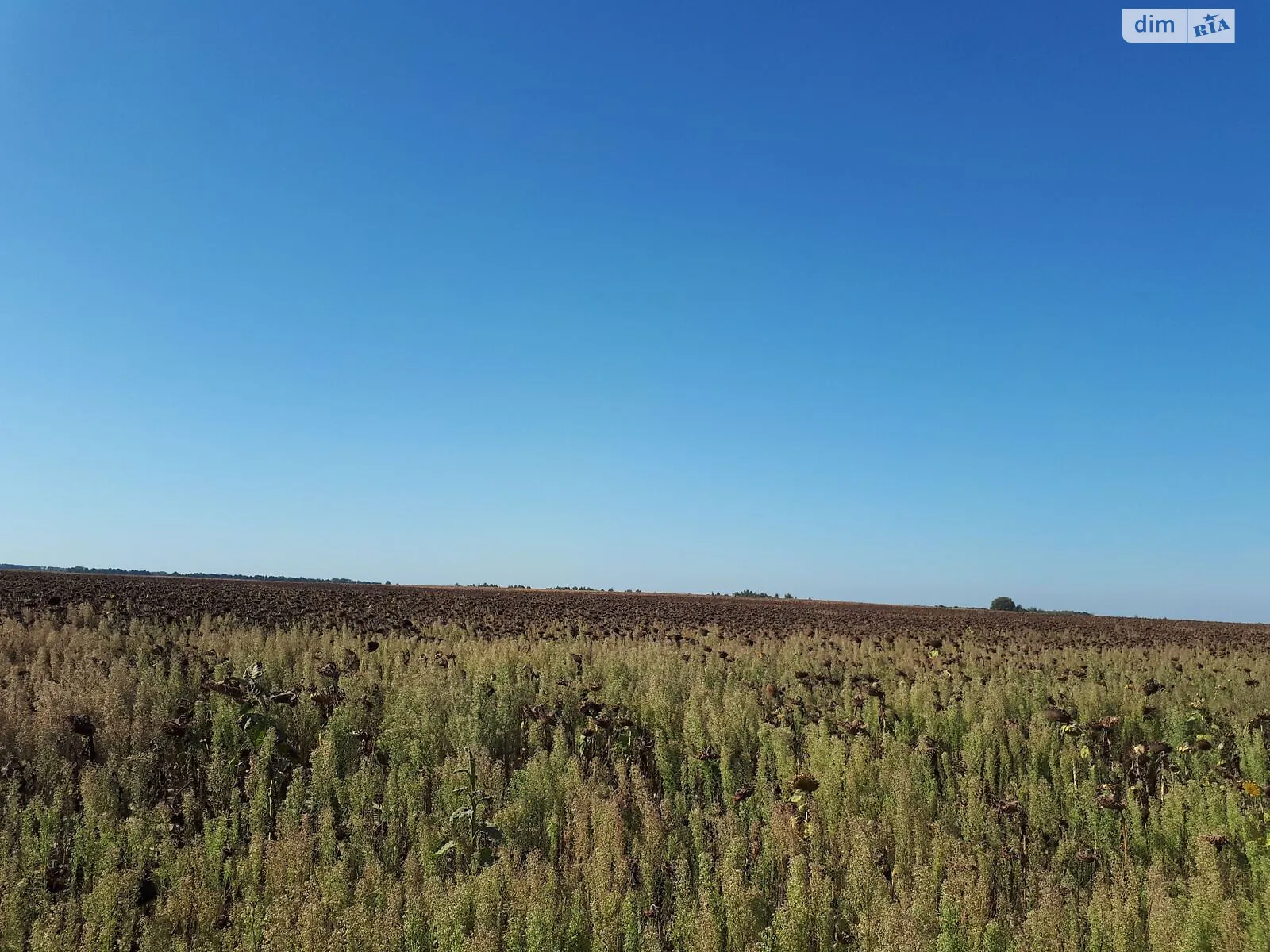 Мотижин, цена: 1464200 грн - фото 1