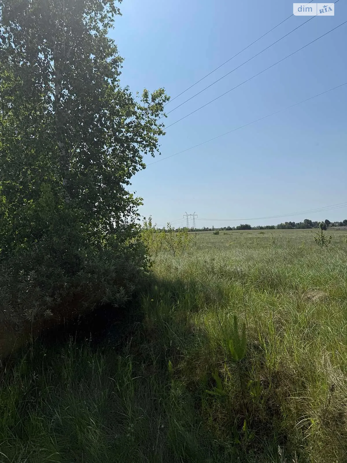 Сдается в аренду земельный участок 18.4315 соток в  области, цена: 27161 грн - фото 1