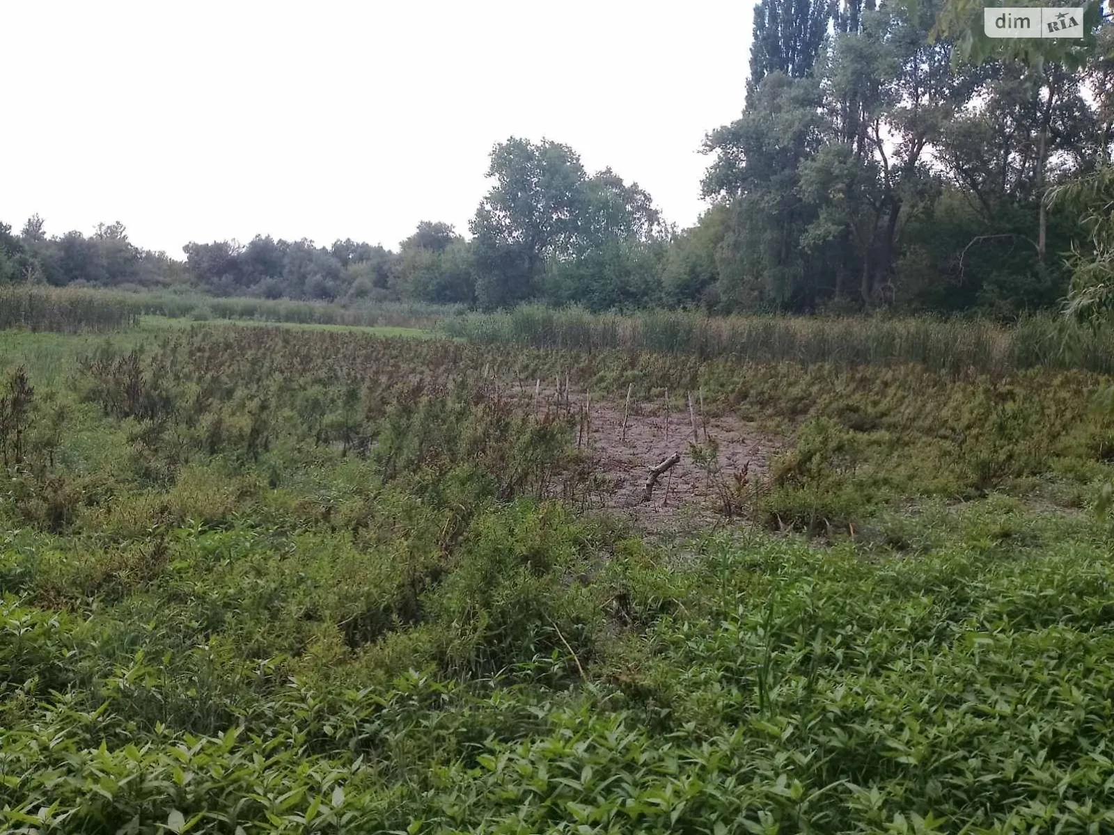 Здається в оренду земельна ділянка 1.7834 соток у  області, цена: 6061 грн - фото 1