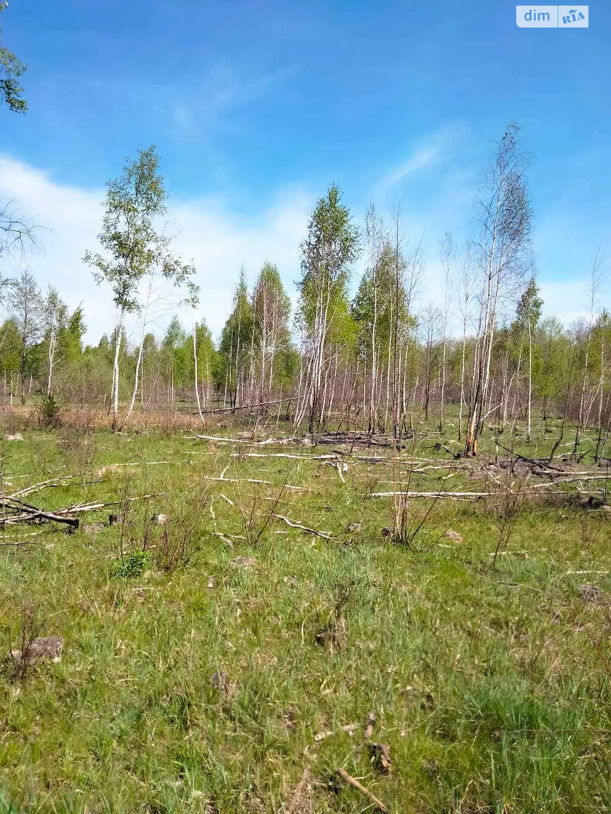 Сдается в аренду земельный участок 15.6644 соток в  области, цена: 30945 грн - фото 1