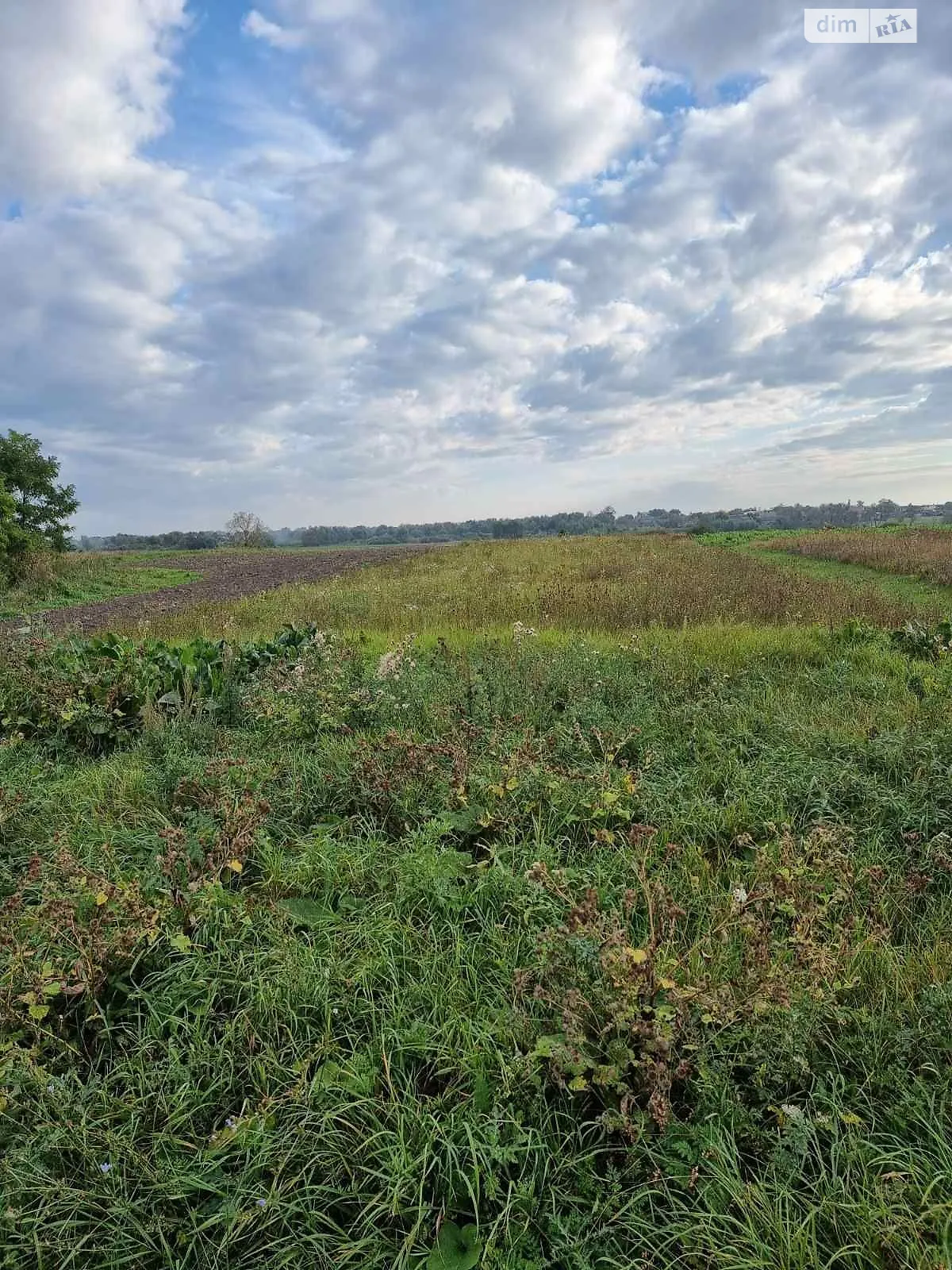 Сдается в аренду земельный участок 8.0956 соток в Львовской области, цена: 14795 грн - фото 1