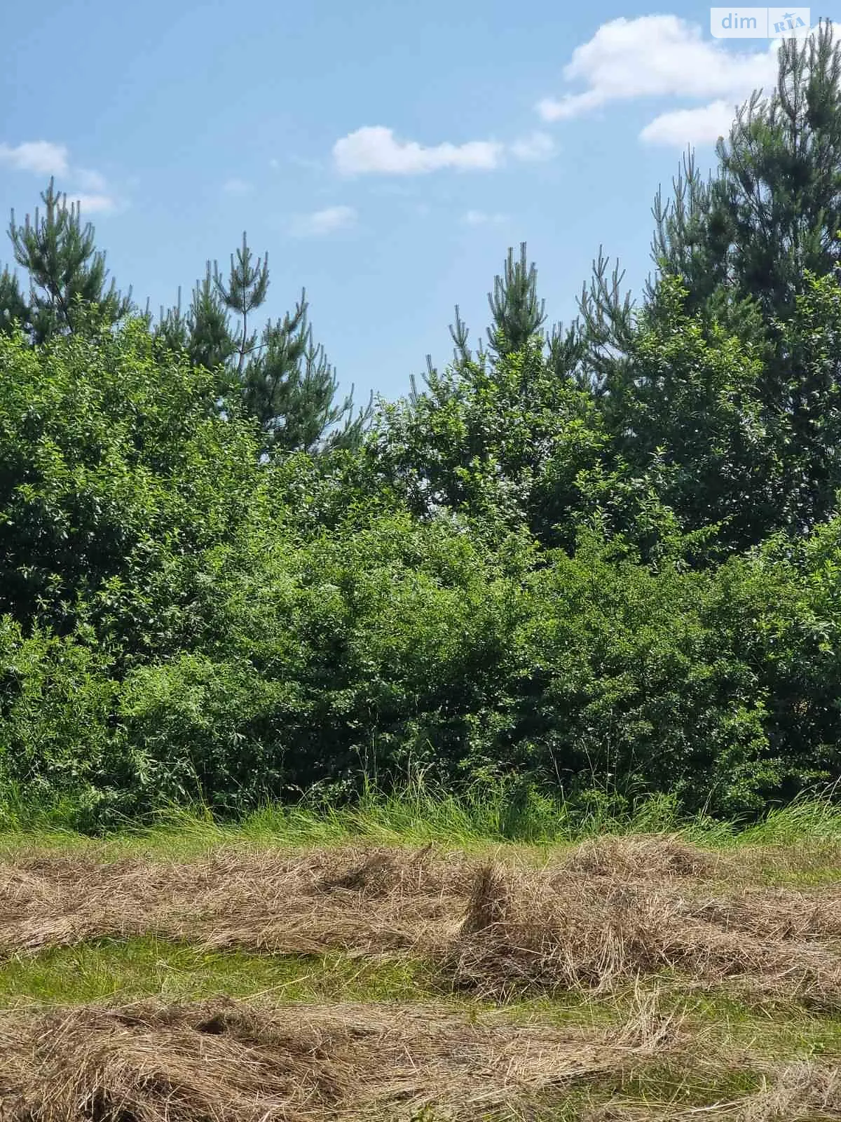 Сдается в аренду земельный участок 15.3289 соток в Львовской области, цена: 63564 грн - фото 1