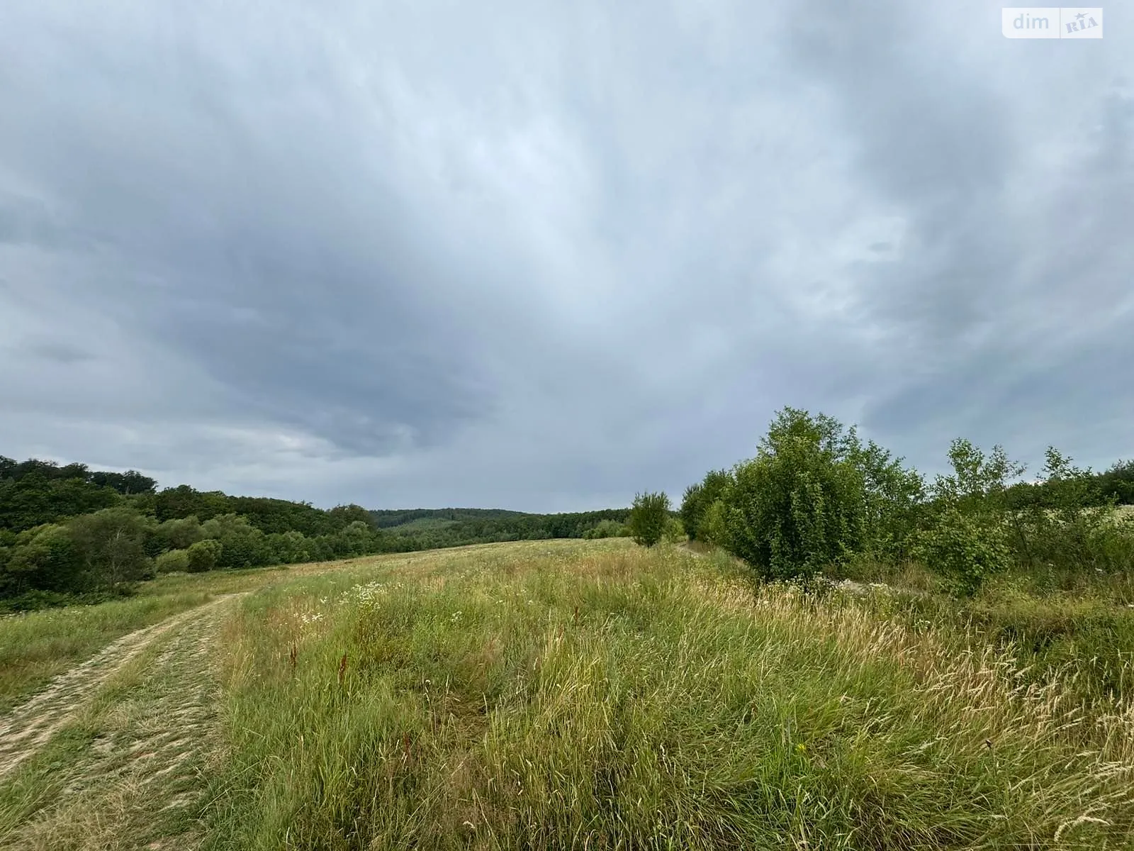 Болехов, цена: 1566 грн - фото 1