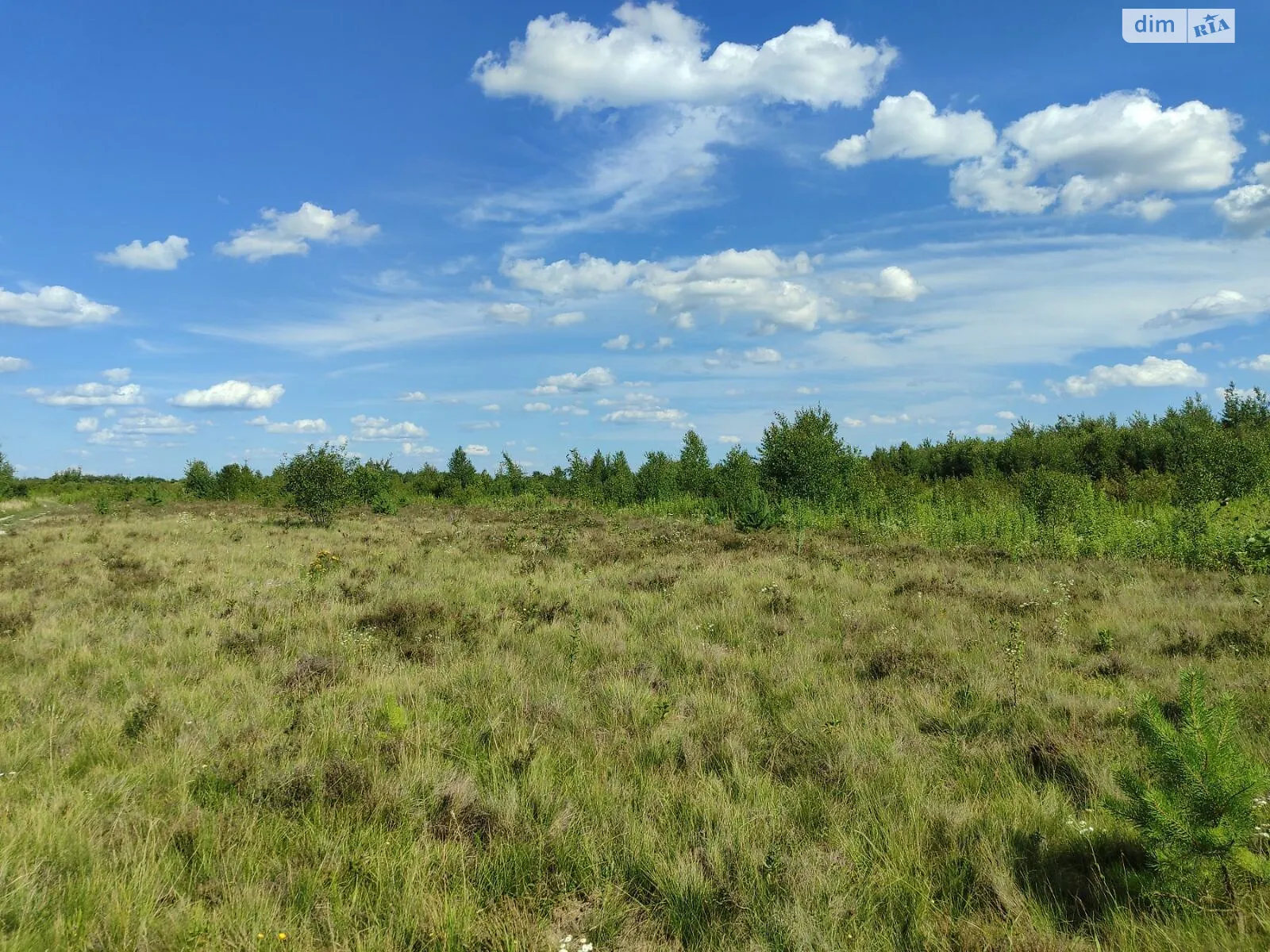 Здається в оренду земельна ділянка 11.4104 соток у Львівській області, цена: 9829 грн - фото 1