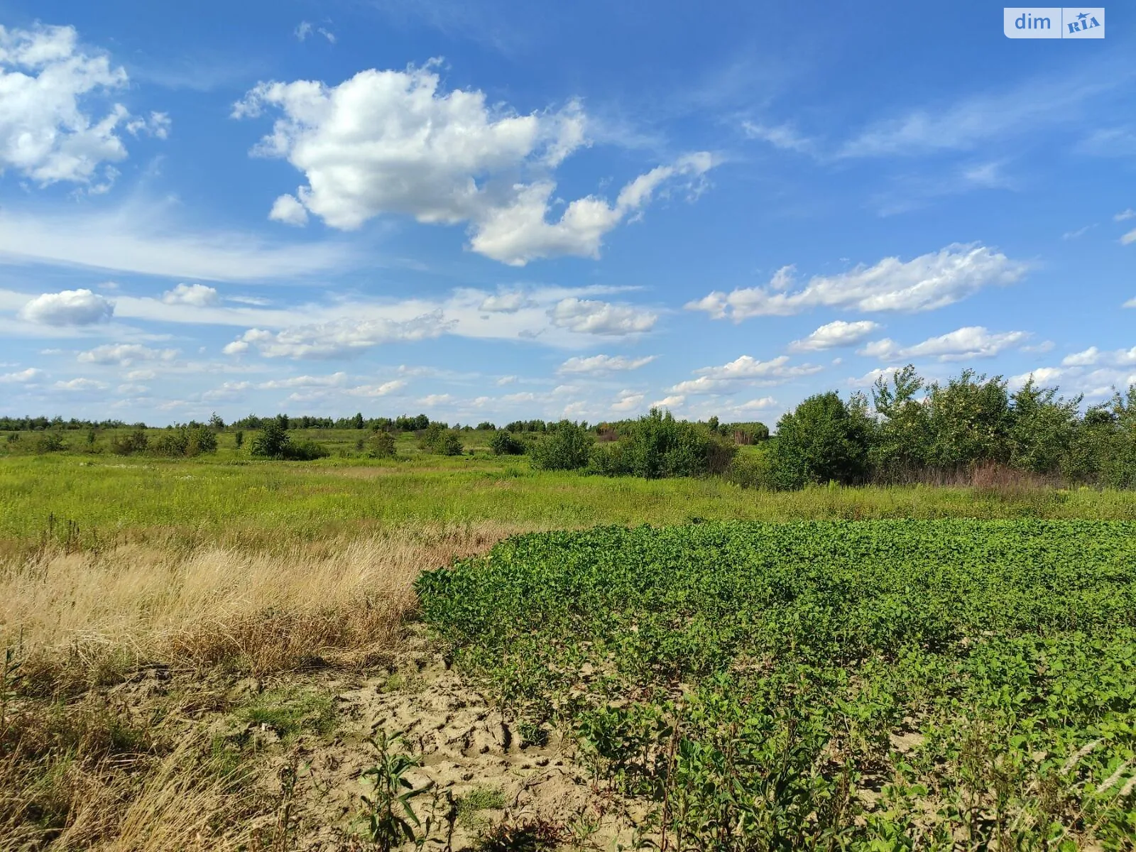 Здається в оренду земельна ділянка 11.6297 соток у Львівській області, цена: 12378 грн - фото 1