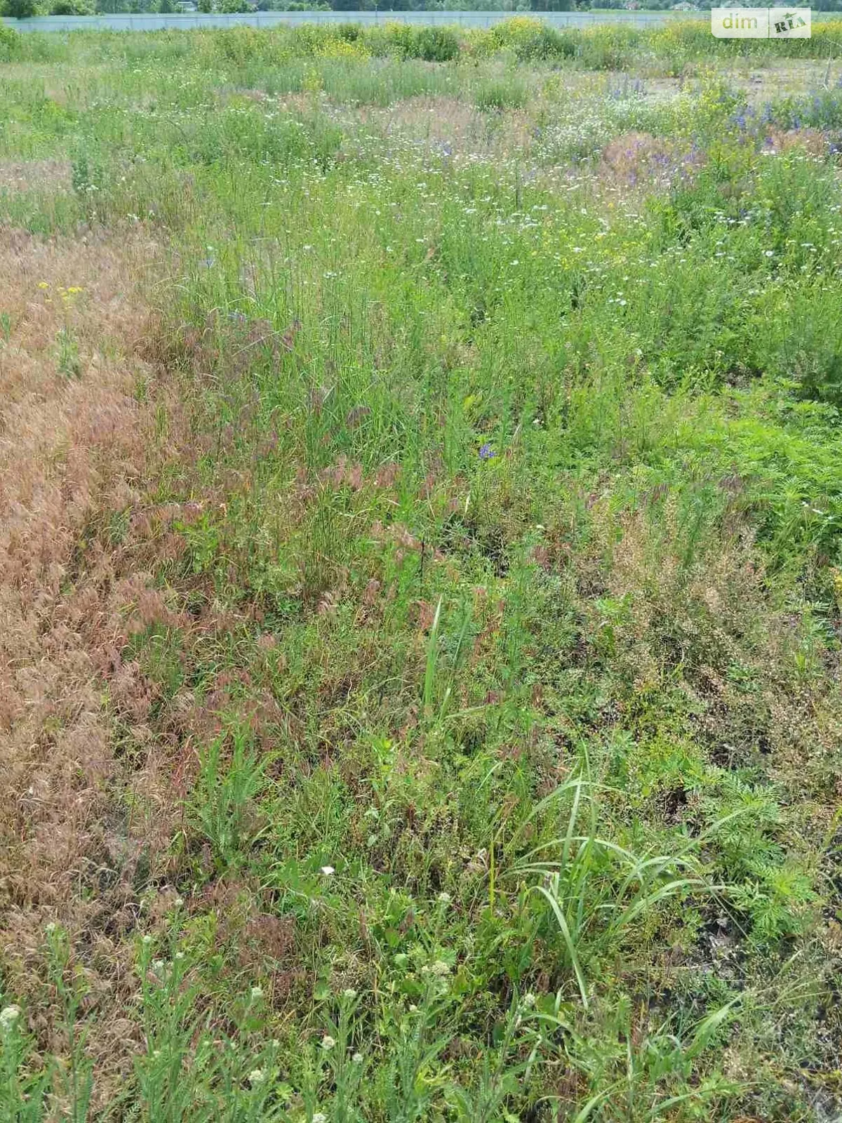 Здається в оренду земельна ділянка 1.0727 соток у області, цена: 5814 грн - фото 1