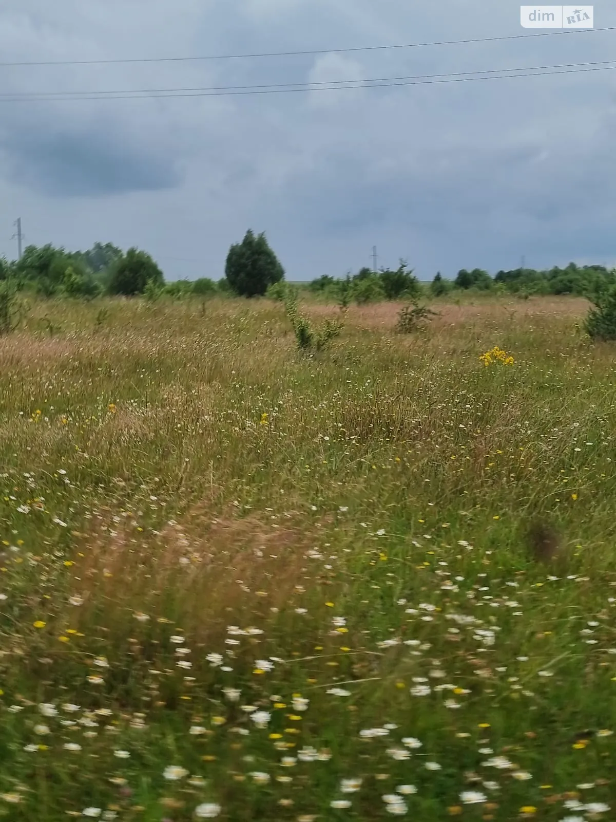 Сдается в аренду земельный участок 9 соток в Львовской области, цена: 31503 грн - фото 1
