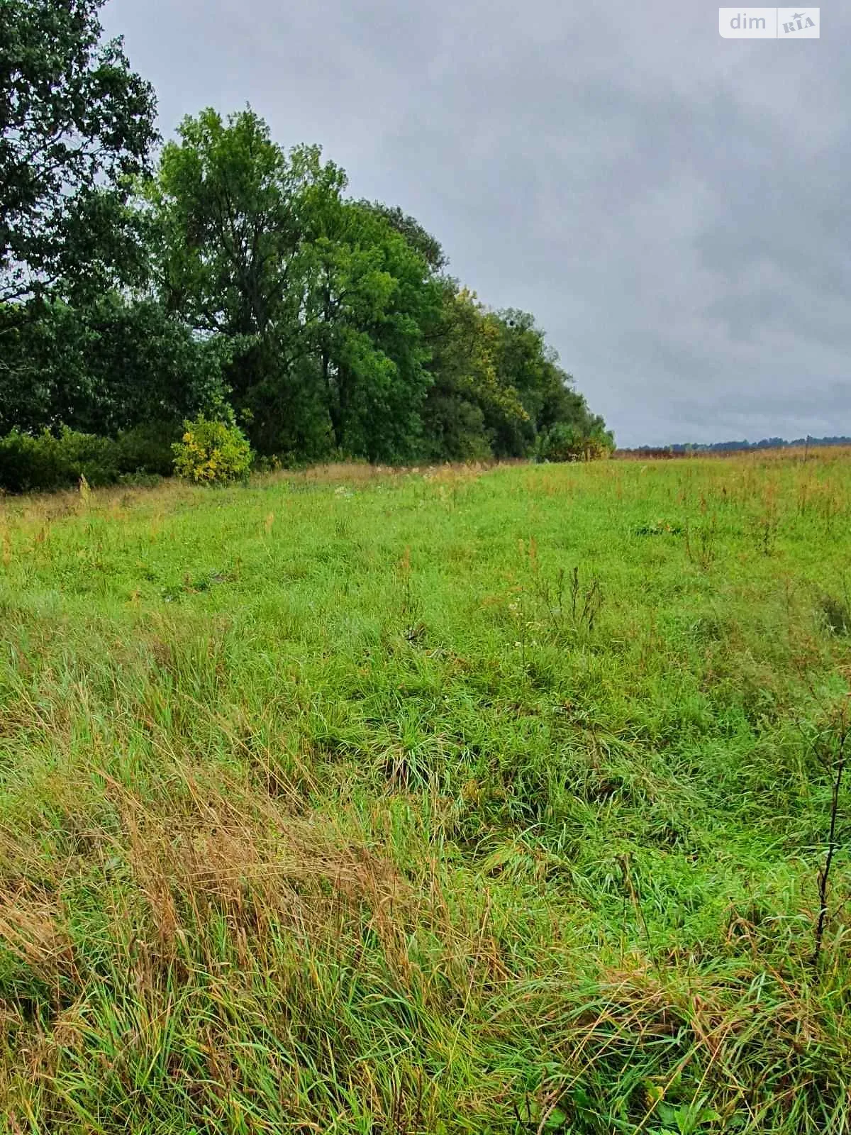 Здається в оренду земельна ділянка 0.0249 соток у Львівській області, цена: 19524 грн - фото 1