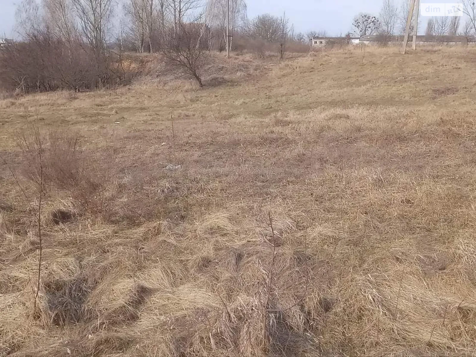 Лутовка, цена: 4503 грн - фото 1